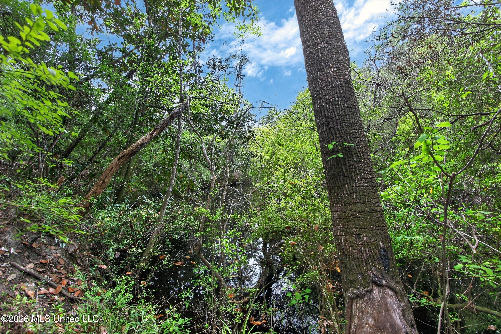 7061 Bayou Talla Lane Property Photo 62