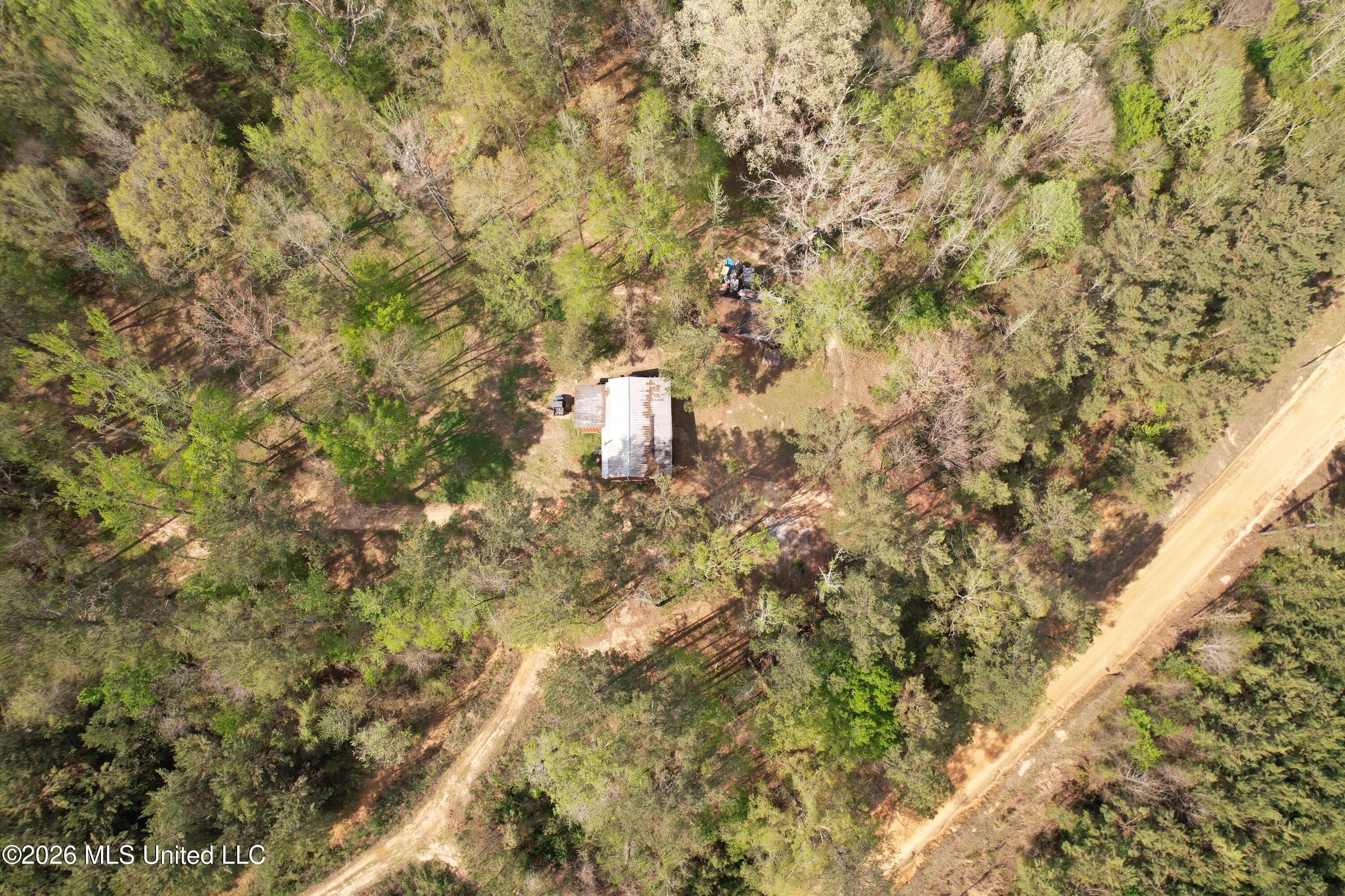 Seymour Road Property Photo 41