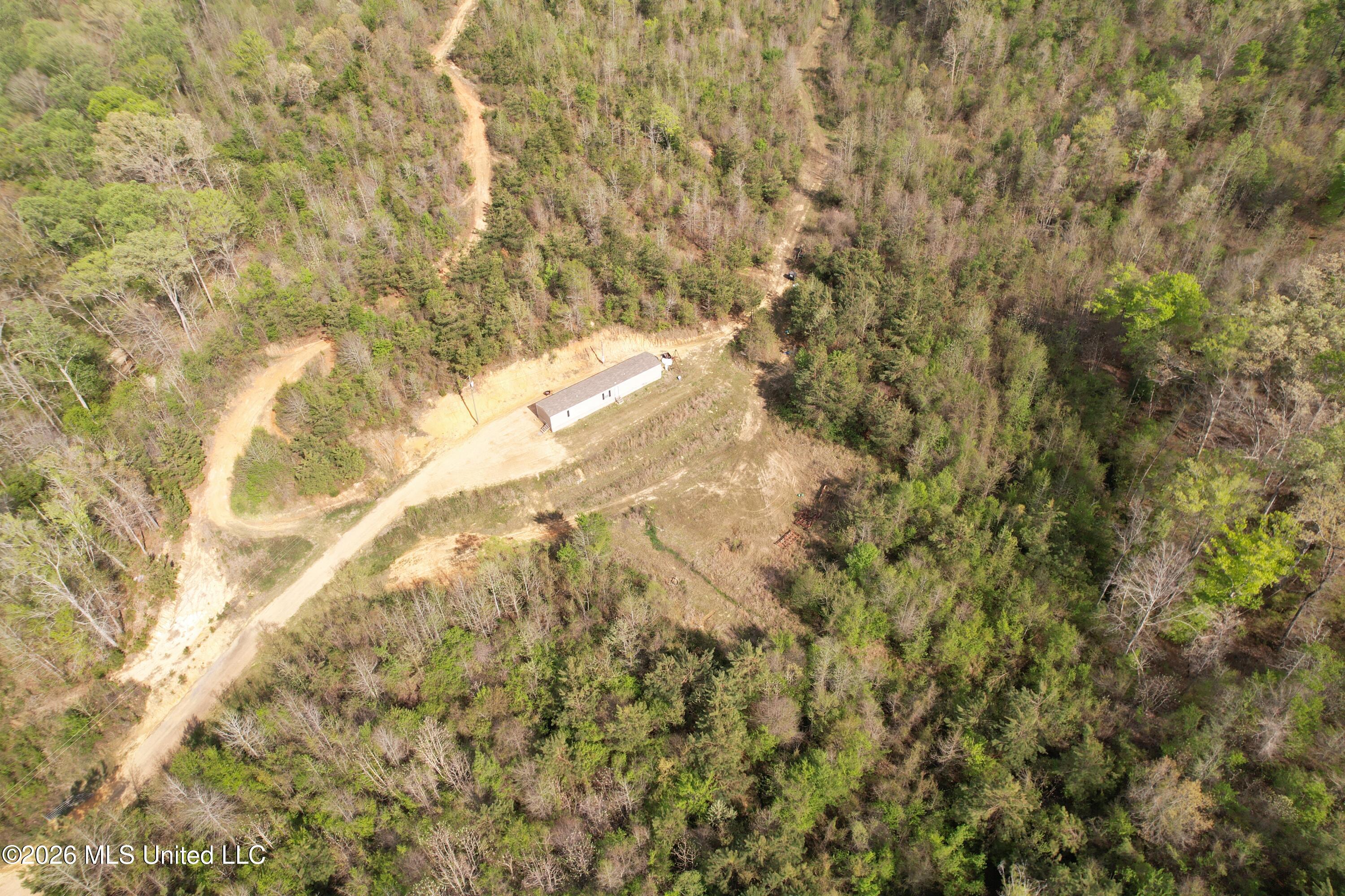 Seymour Road Property Photo 42