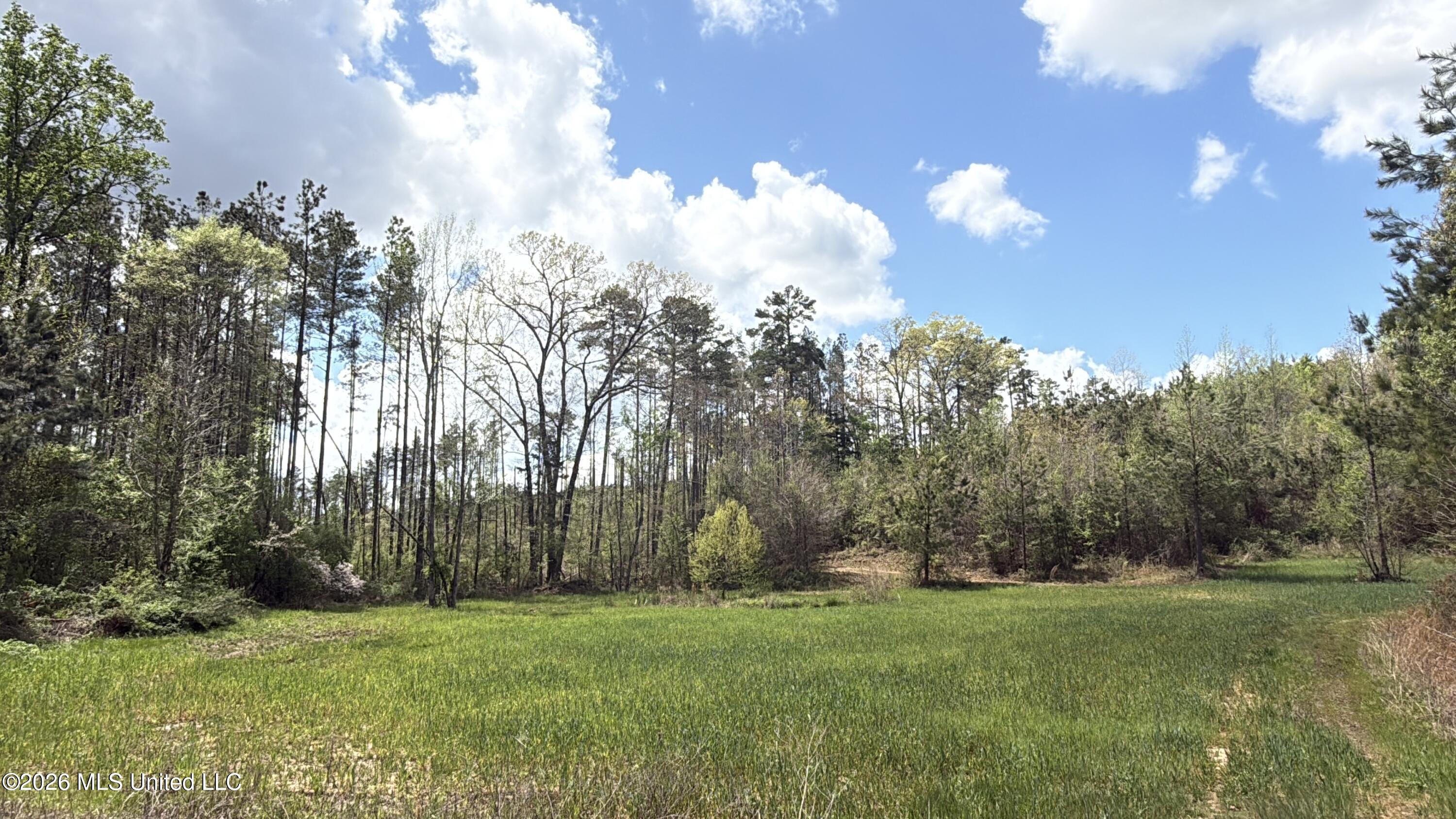 Seymour Road Property Photo 60