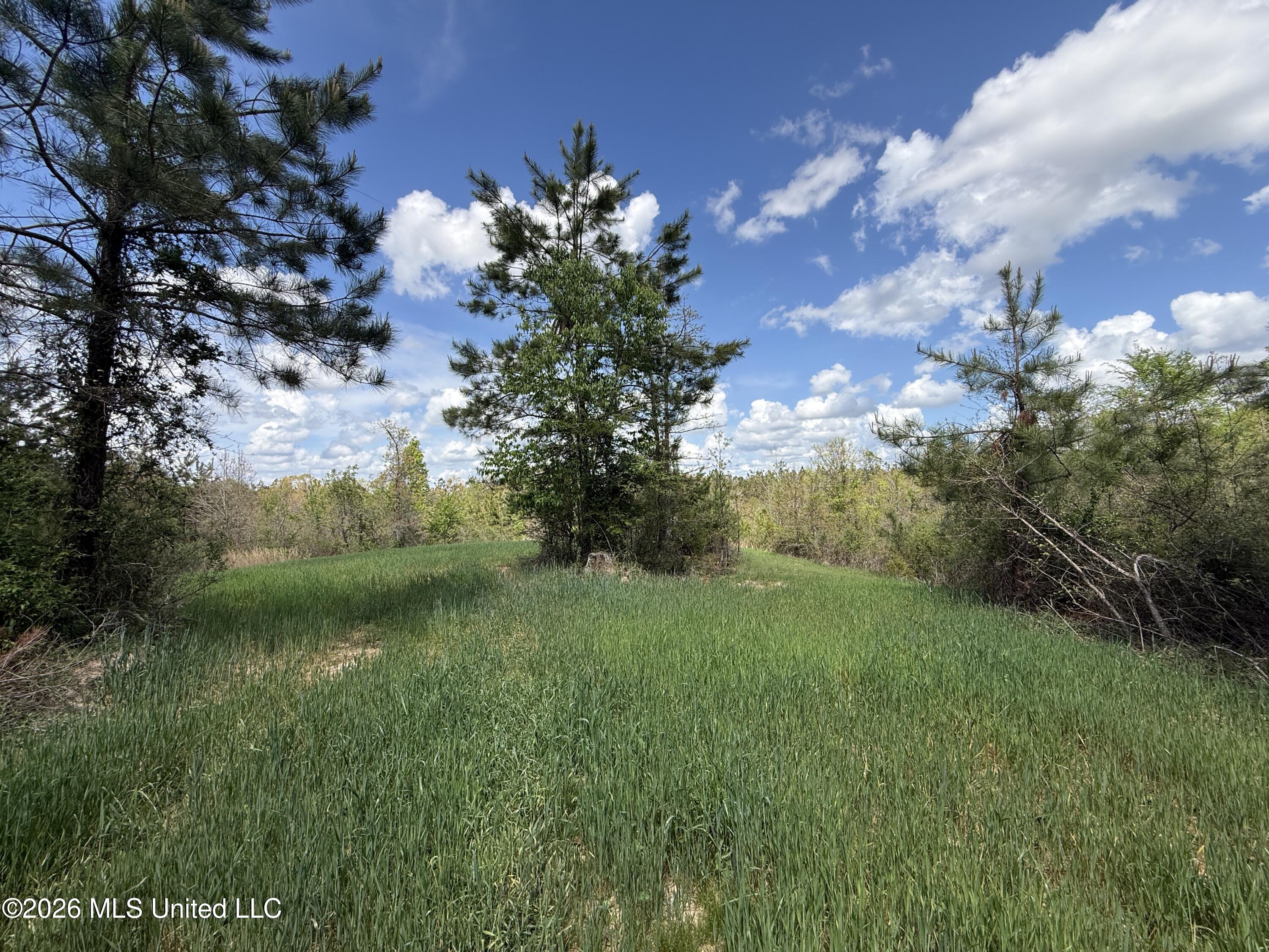 Seymour Road Property Photo 67