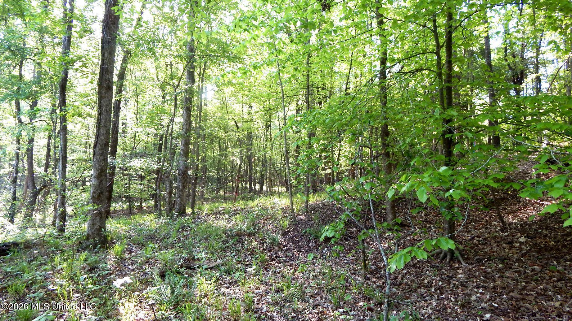 2743 Sweethome Road Property Photo 6