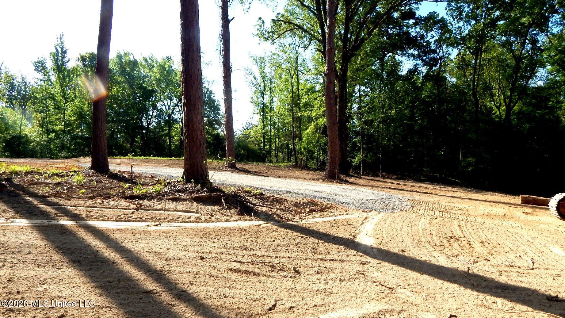 2743 Sweethome Road Property Photo 7