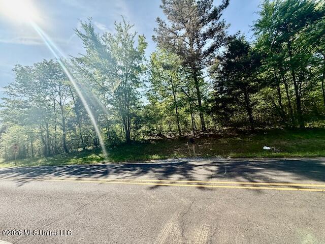 10832 Woolsey Road Property Photo 3