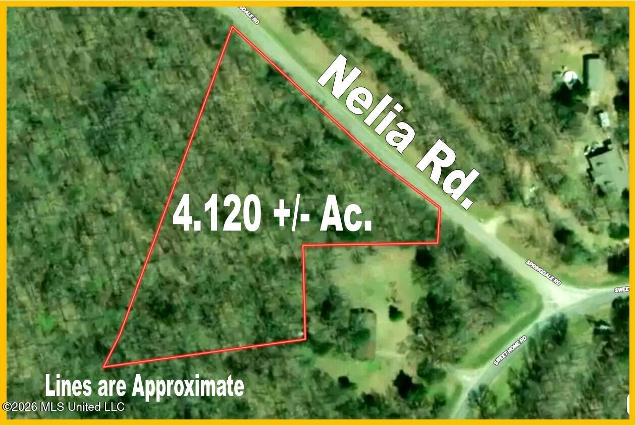40 Nelia Road Property Photo 2