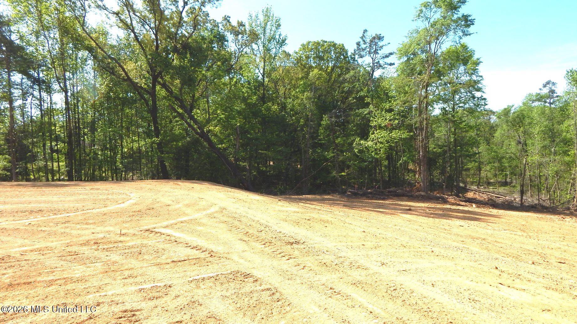 40 Nelia Road Property Photo 8
