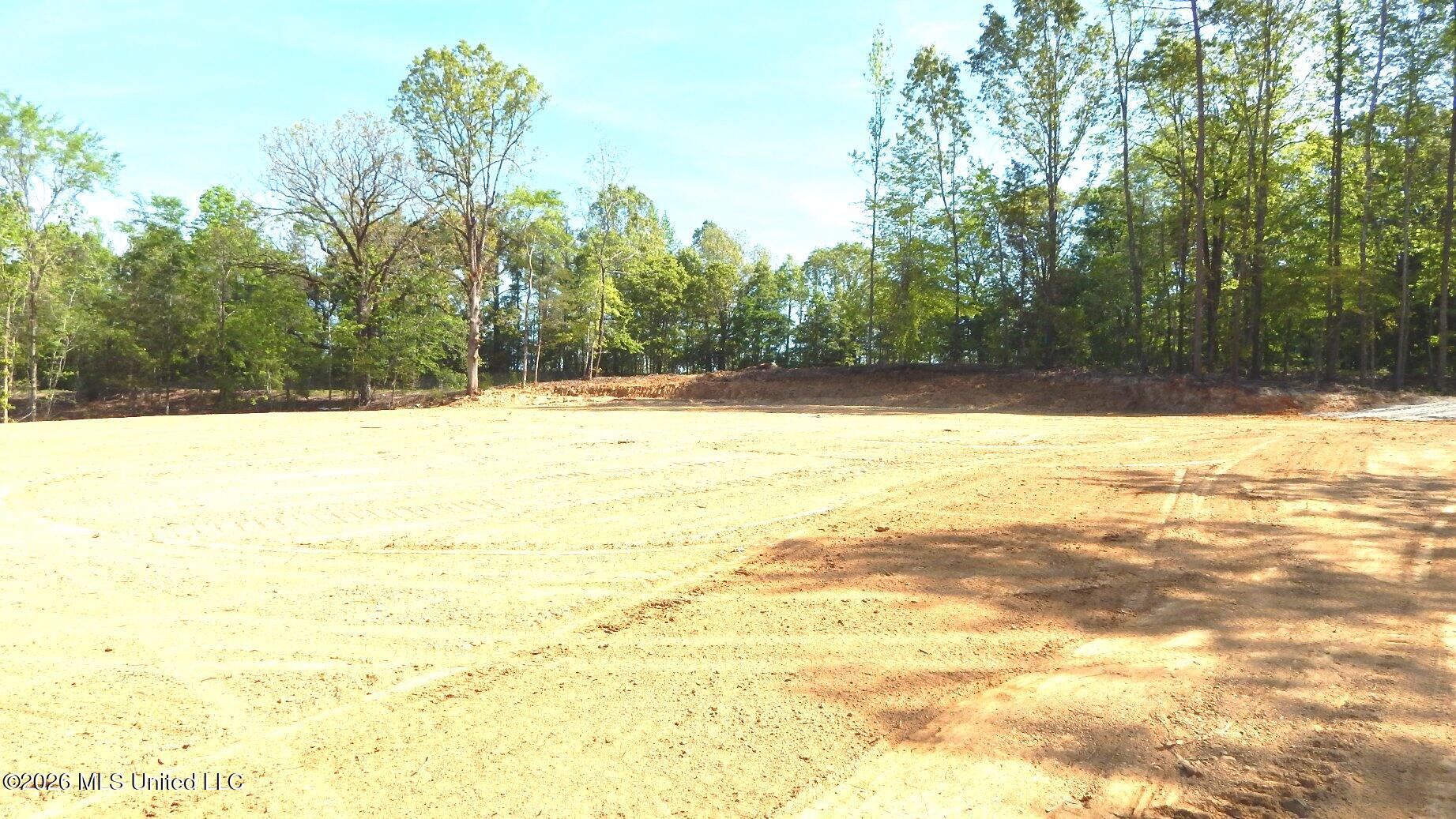 40 Nelia Road Property Photo 11