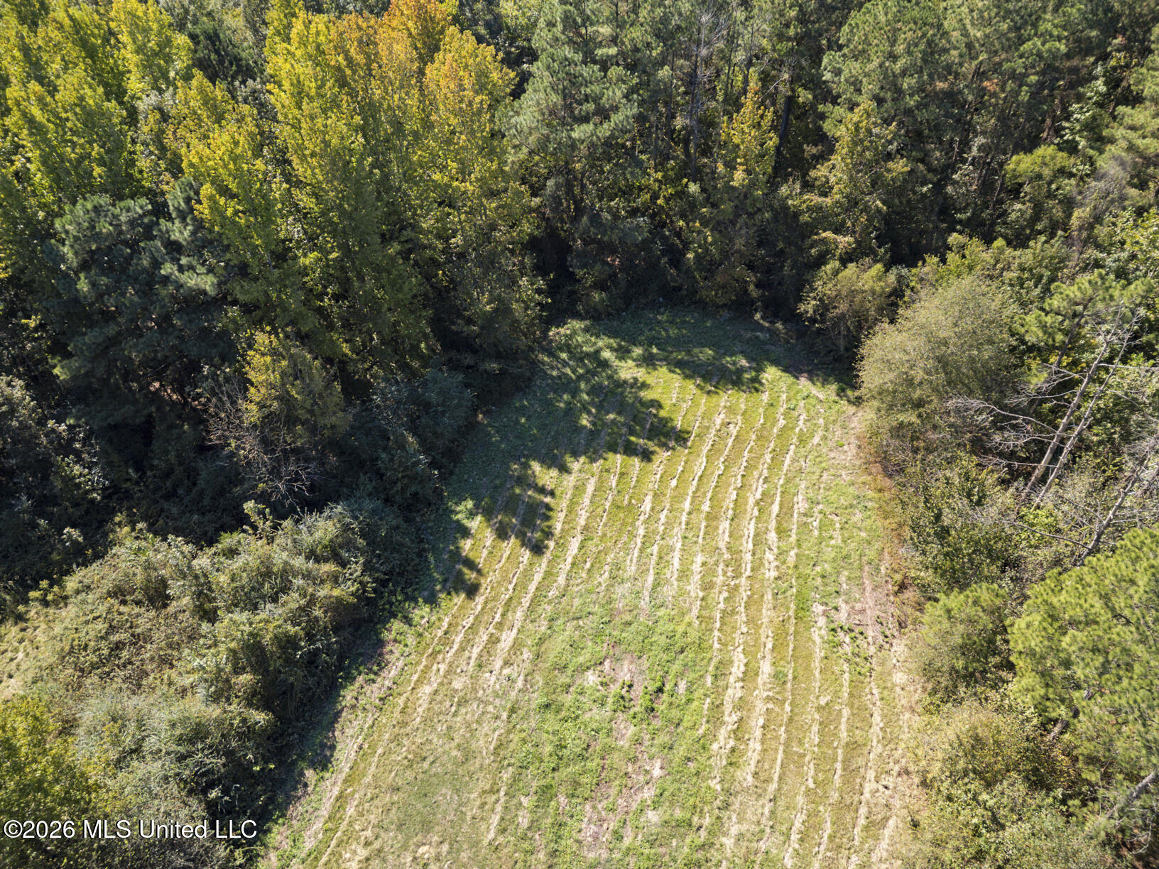 277 Rocky Hill Road Property Photo 55