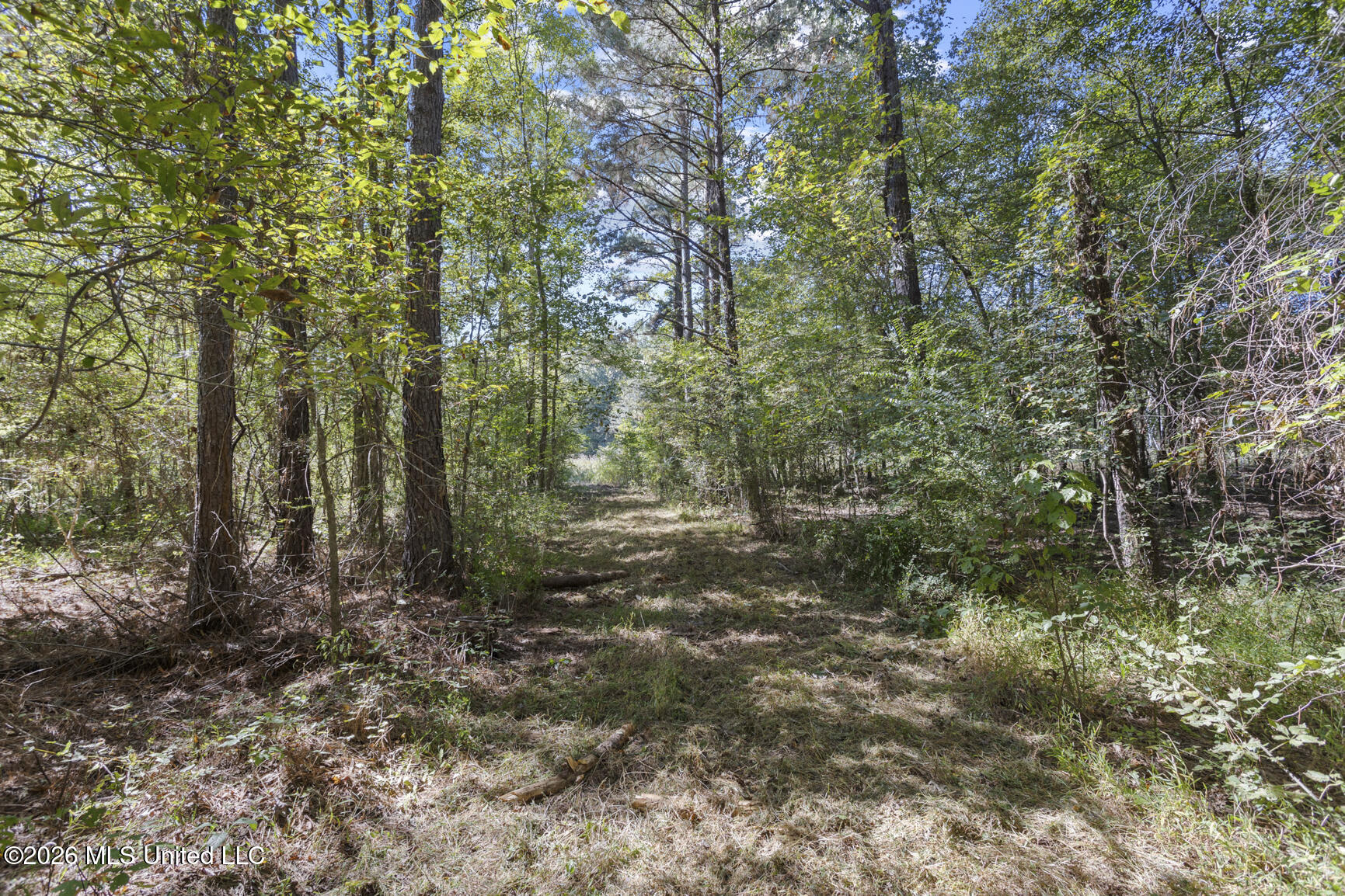 277 Rocky Hill Road Property Photo 121
