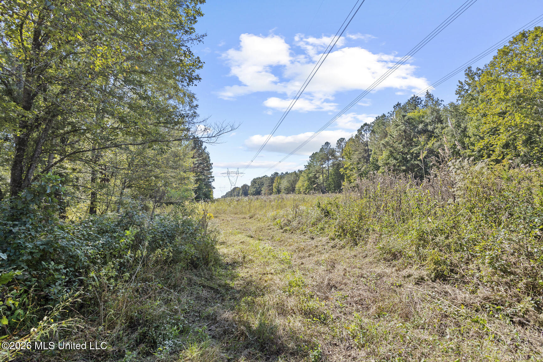 277 Rocky Hill Road Property Photo 122