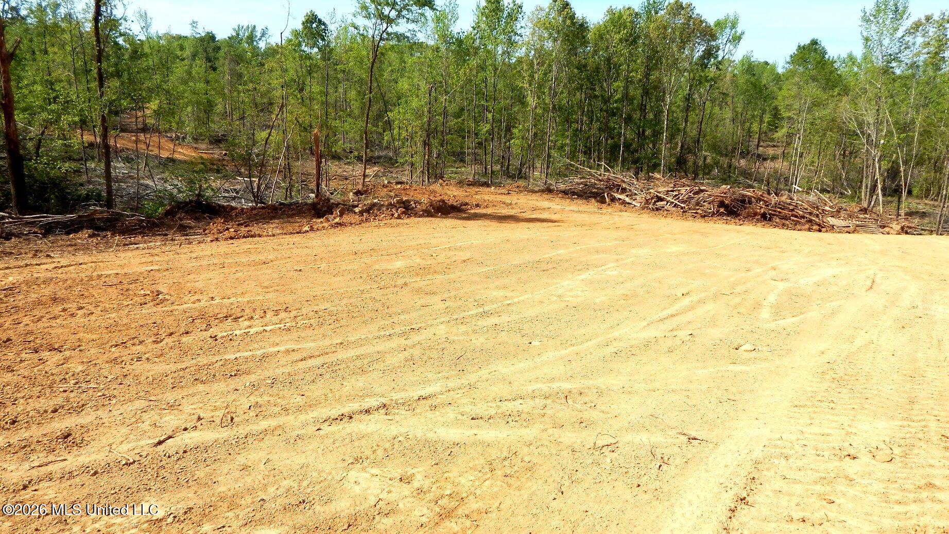 50 Nelia Road Property Photo 4