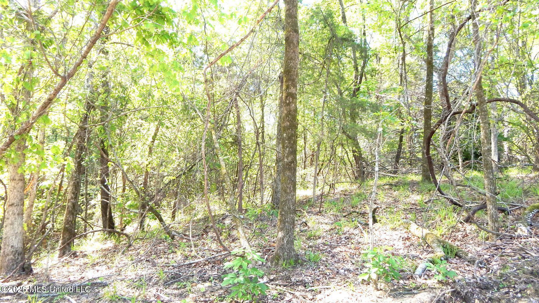 50 Nelia Road Property Photo 10