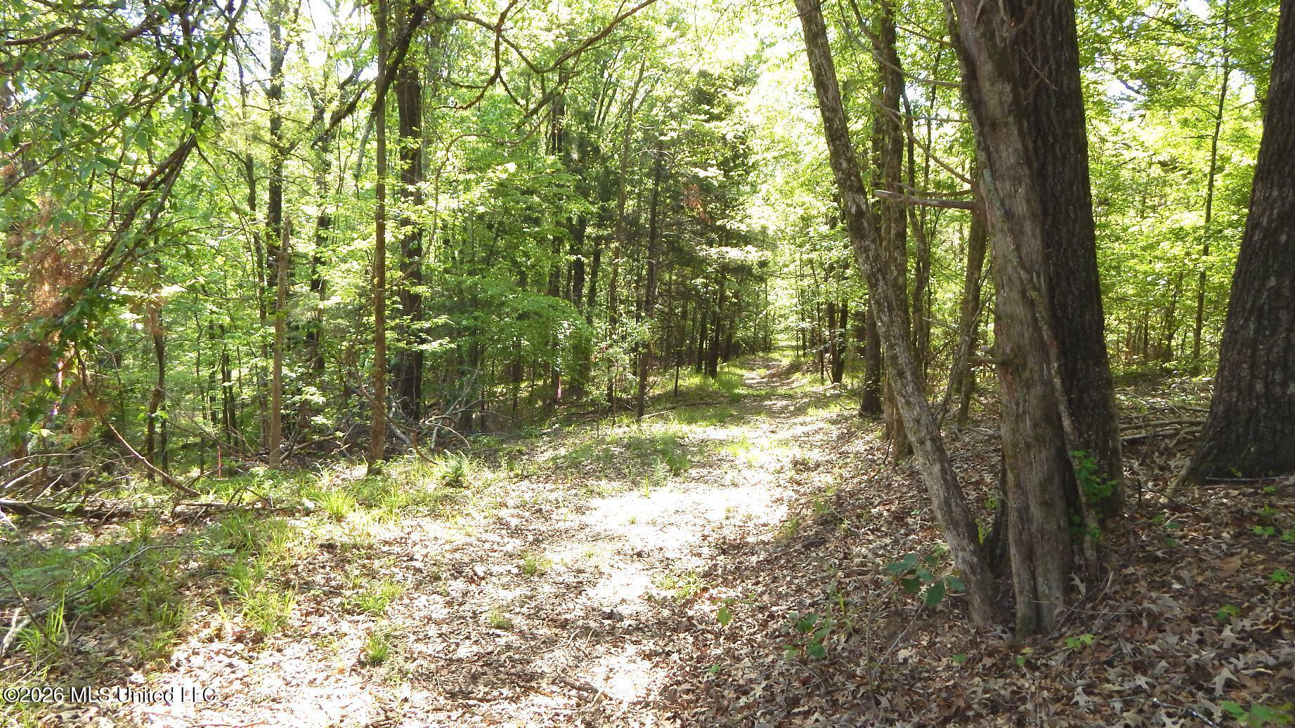 50 Nelia Road Property Photo 11