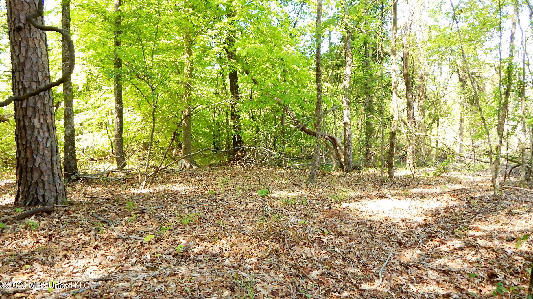 50 Nelia Road Property Photo 12