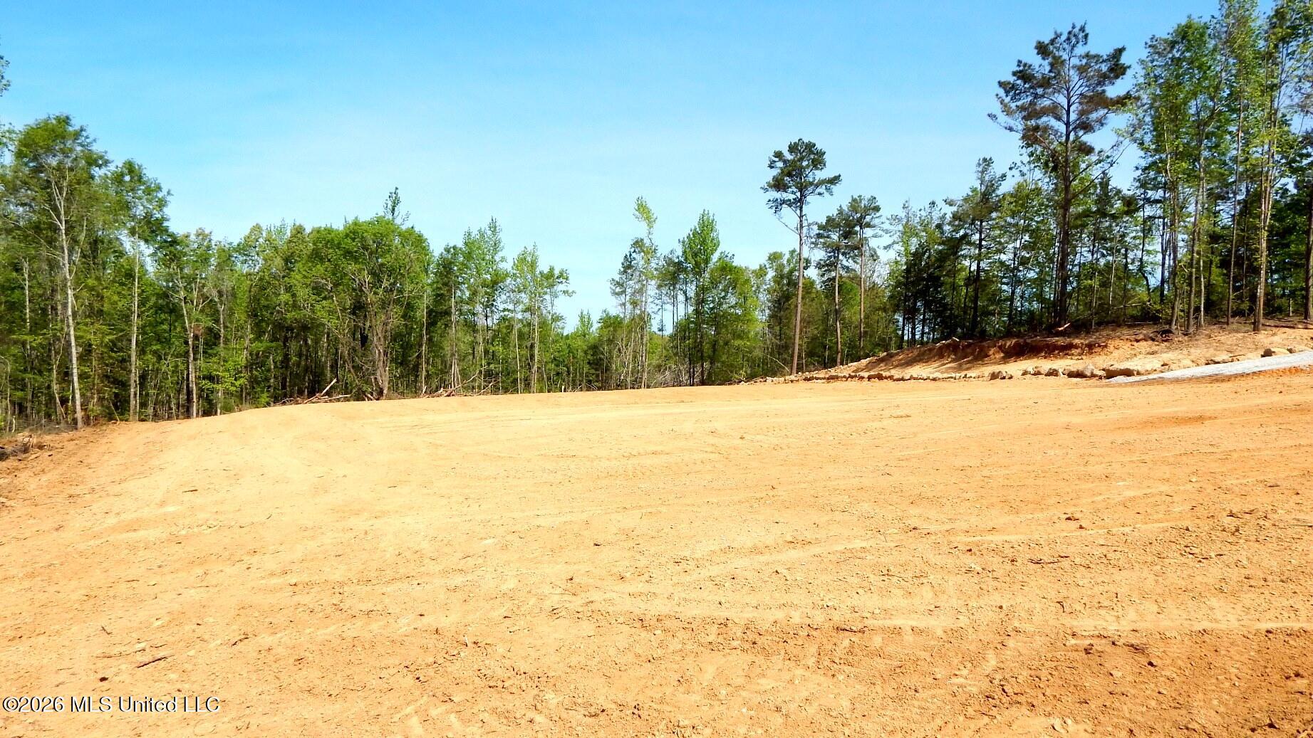 50 Nelia Road Property Photo 16
