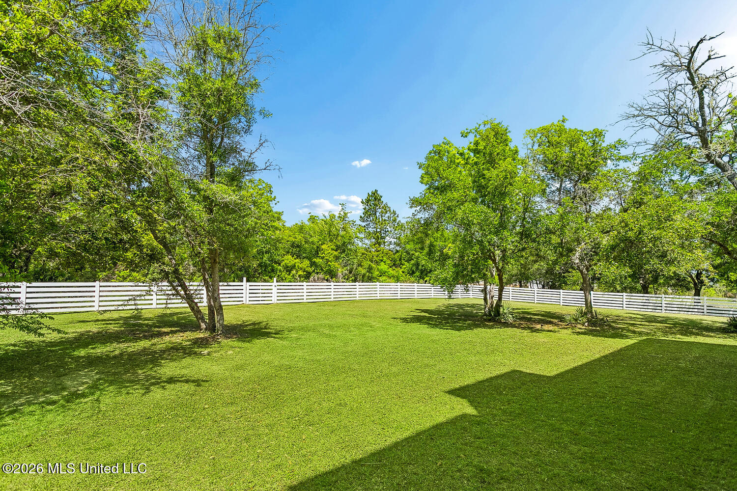 1526 Dunbar Avenue Property Photo 38