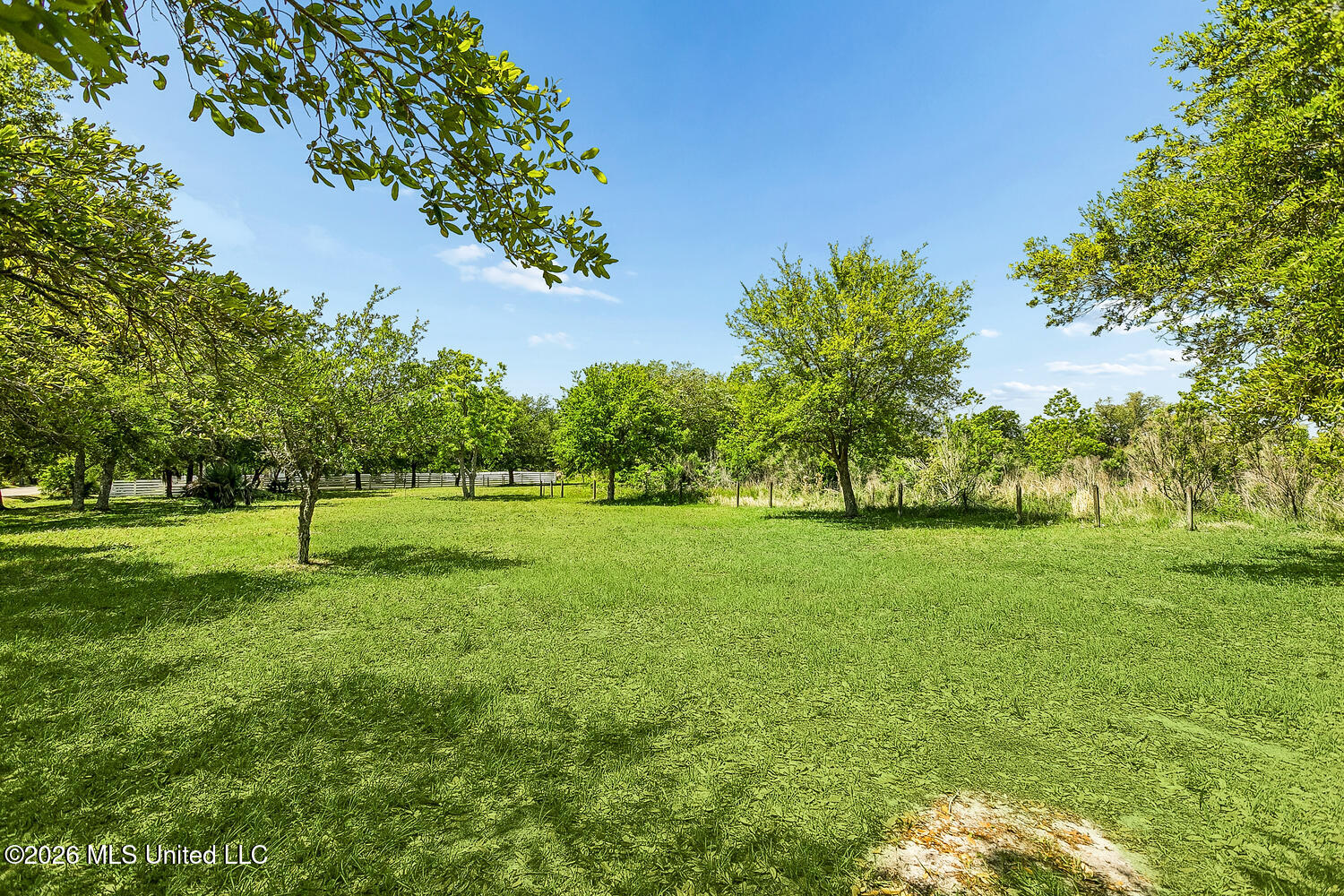 1526 Dunbar Avenue Property Photo 39