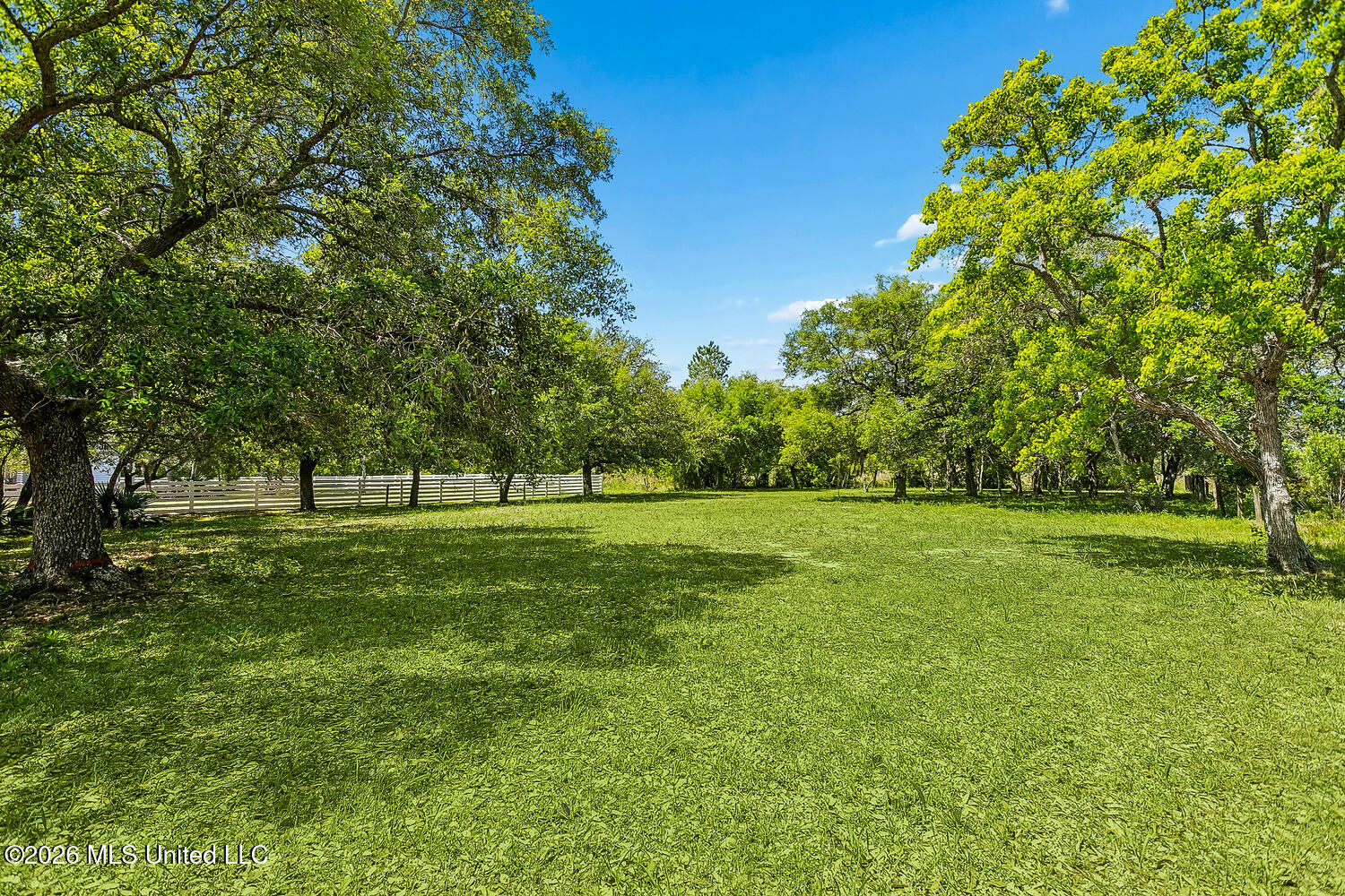 1526 Dunbar Avenue Property Photo 40