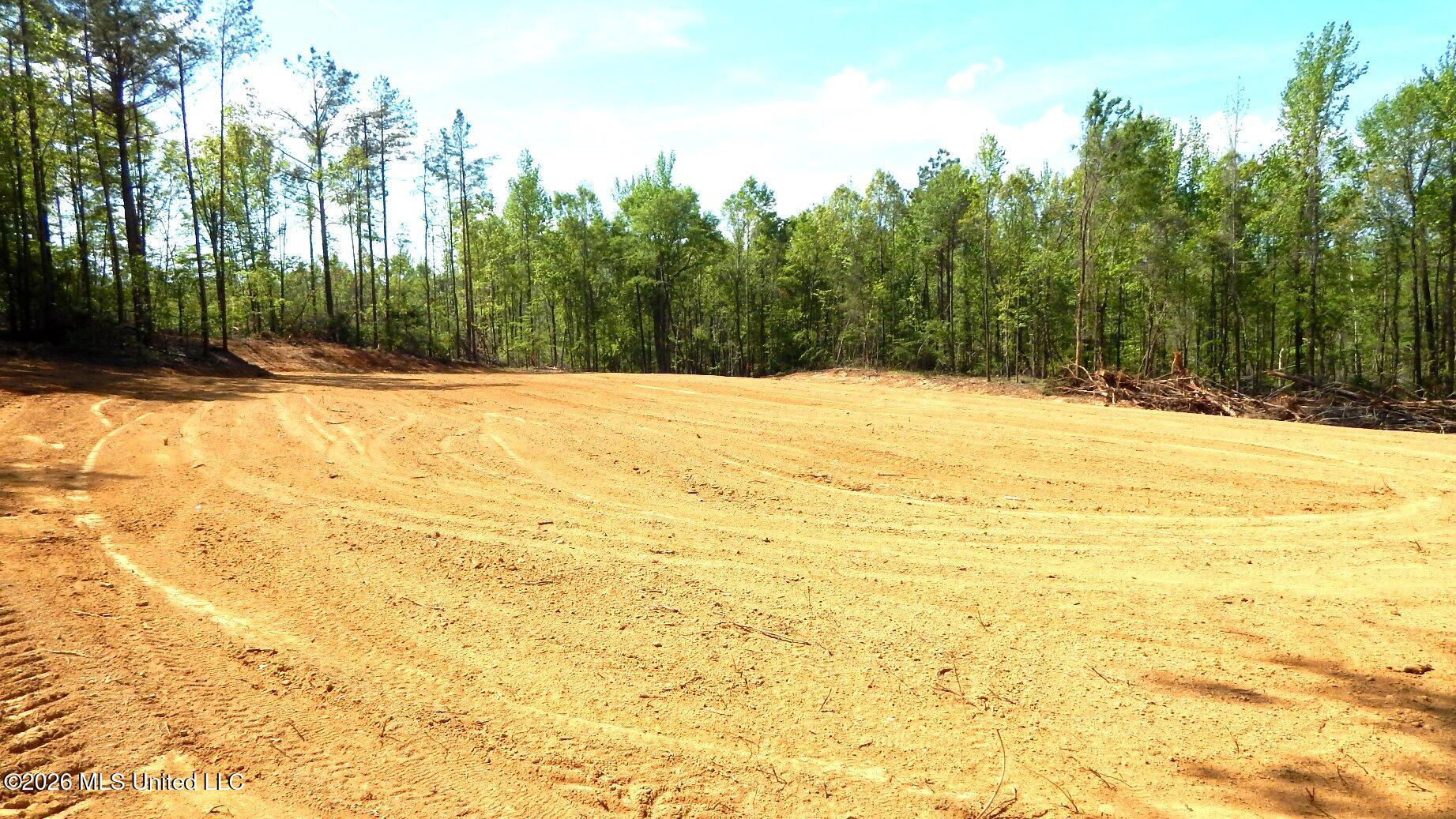 60 Nelia Road Property Photo 4