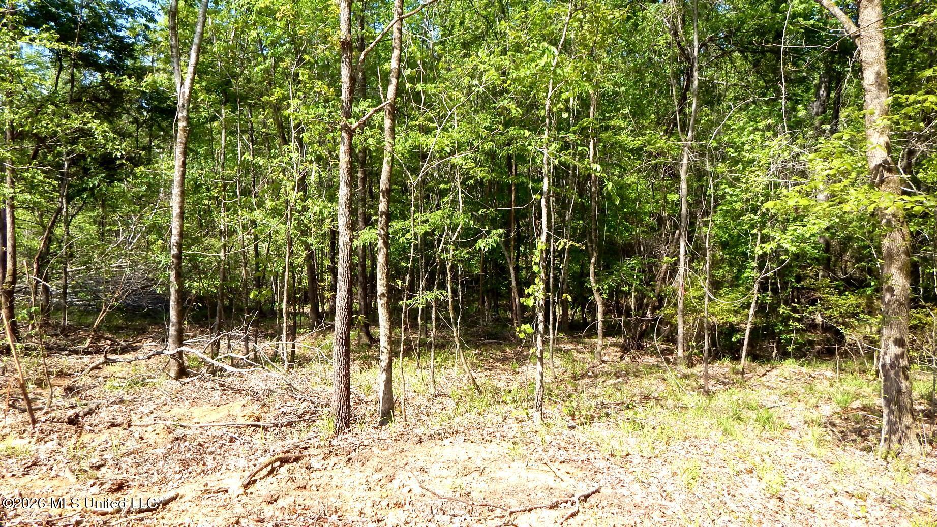60 Nelia Road Property Photo 6