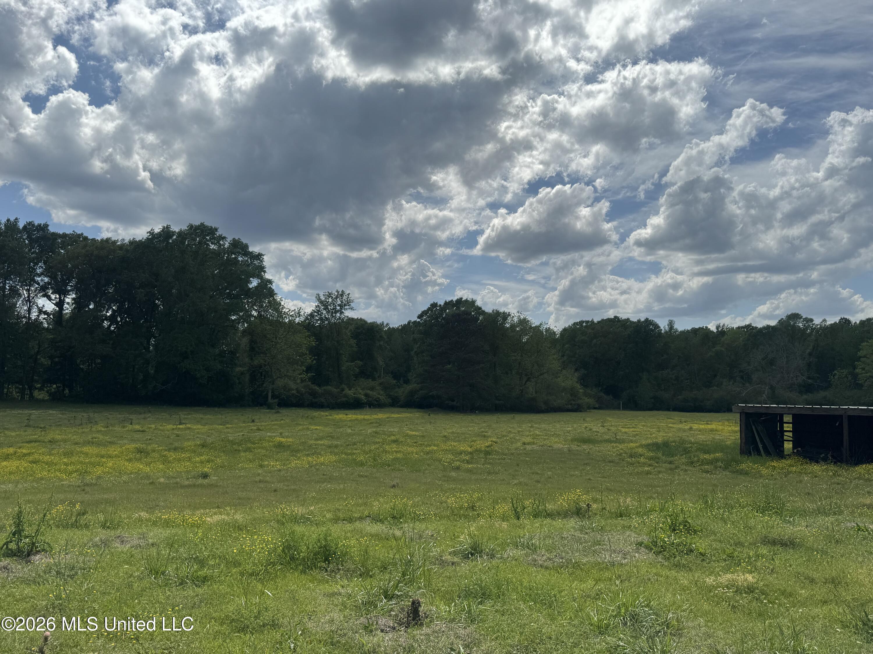 Ms-13 Property Photo 3