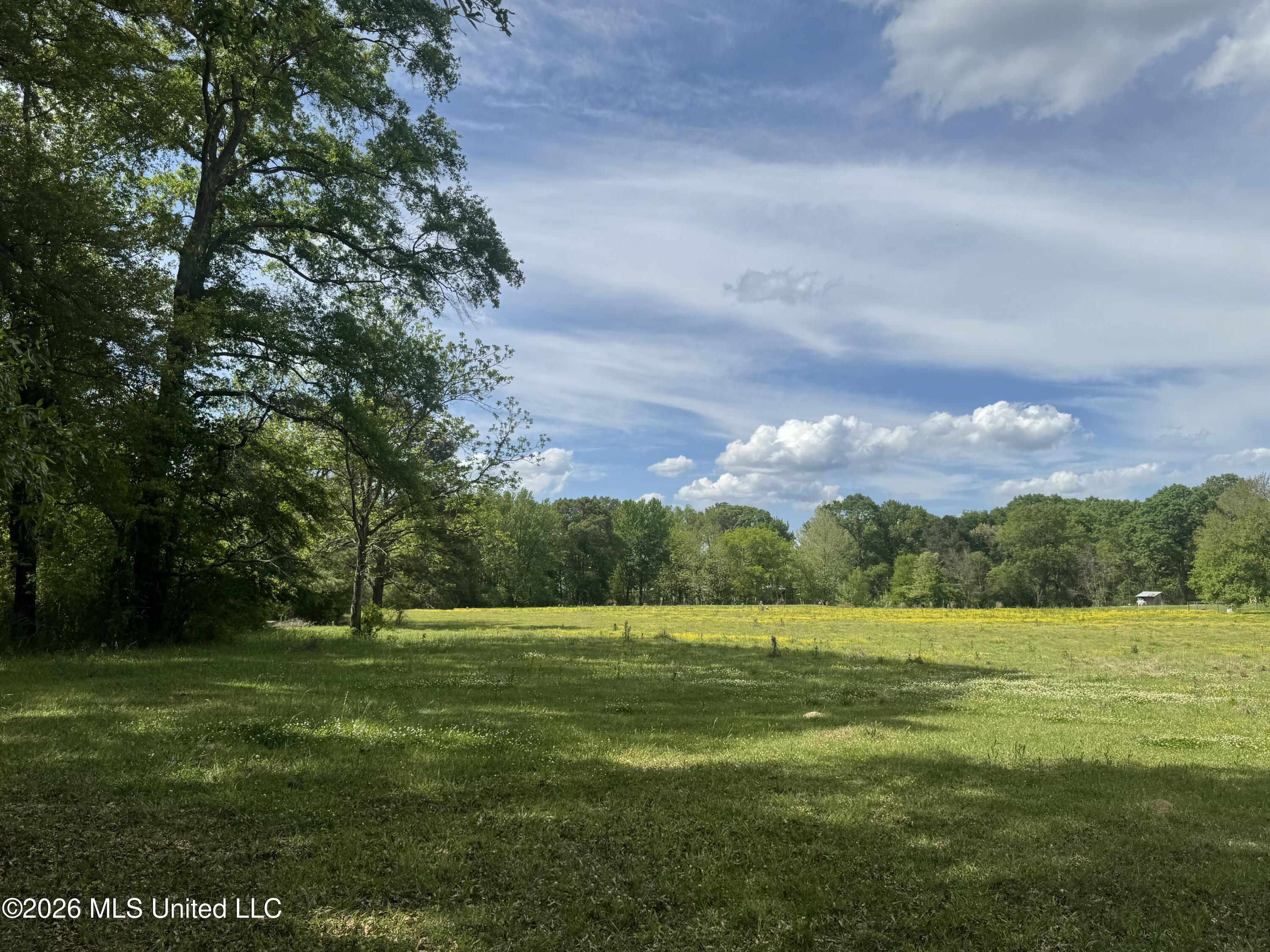 Ms-13 Property Photo 8