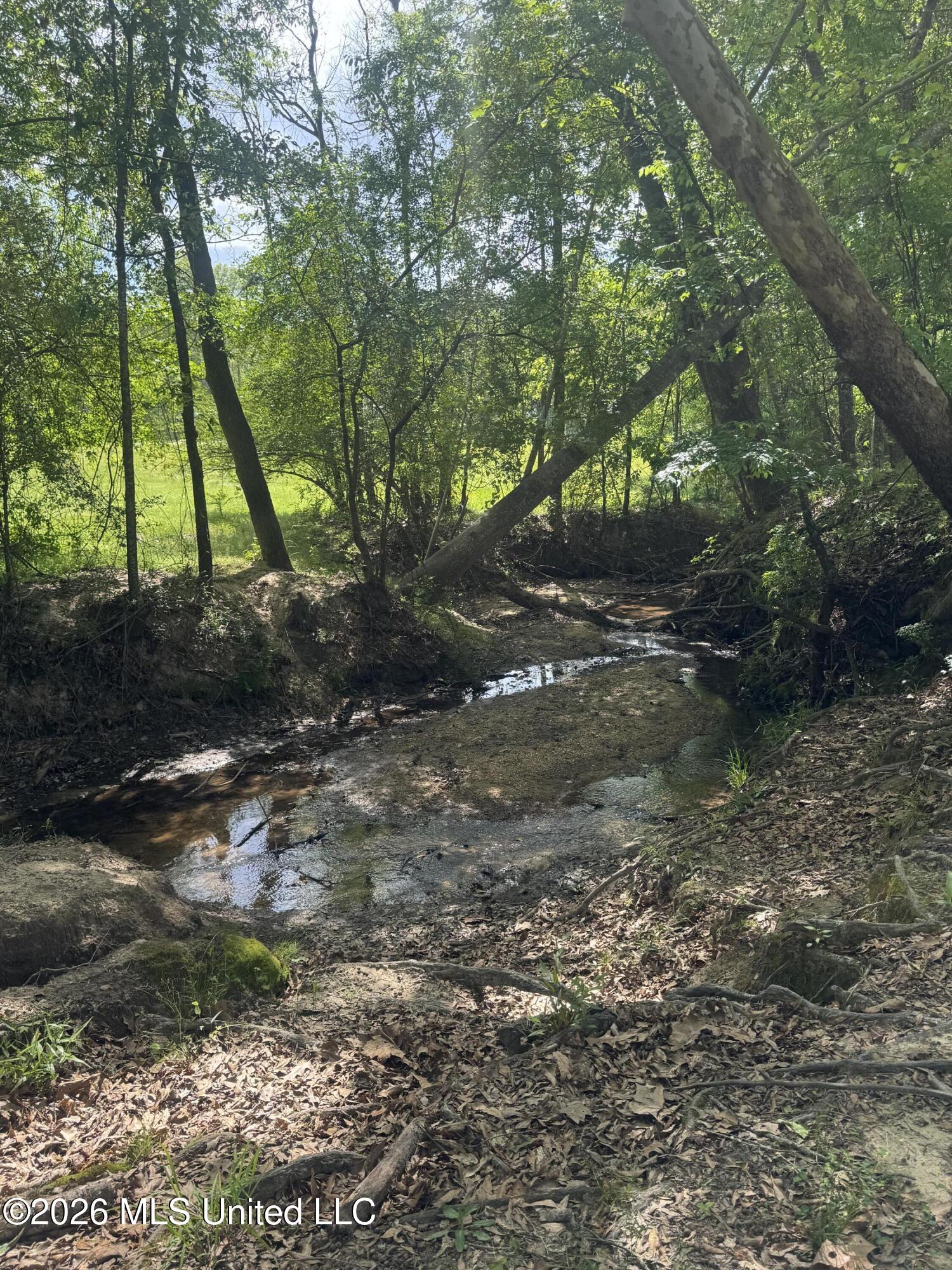 Ms-13 Property Photo 9
