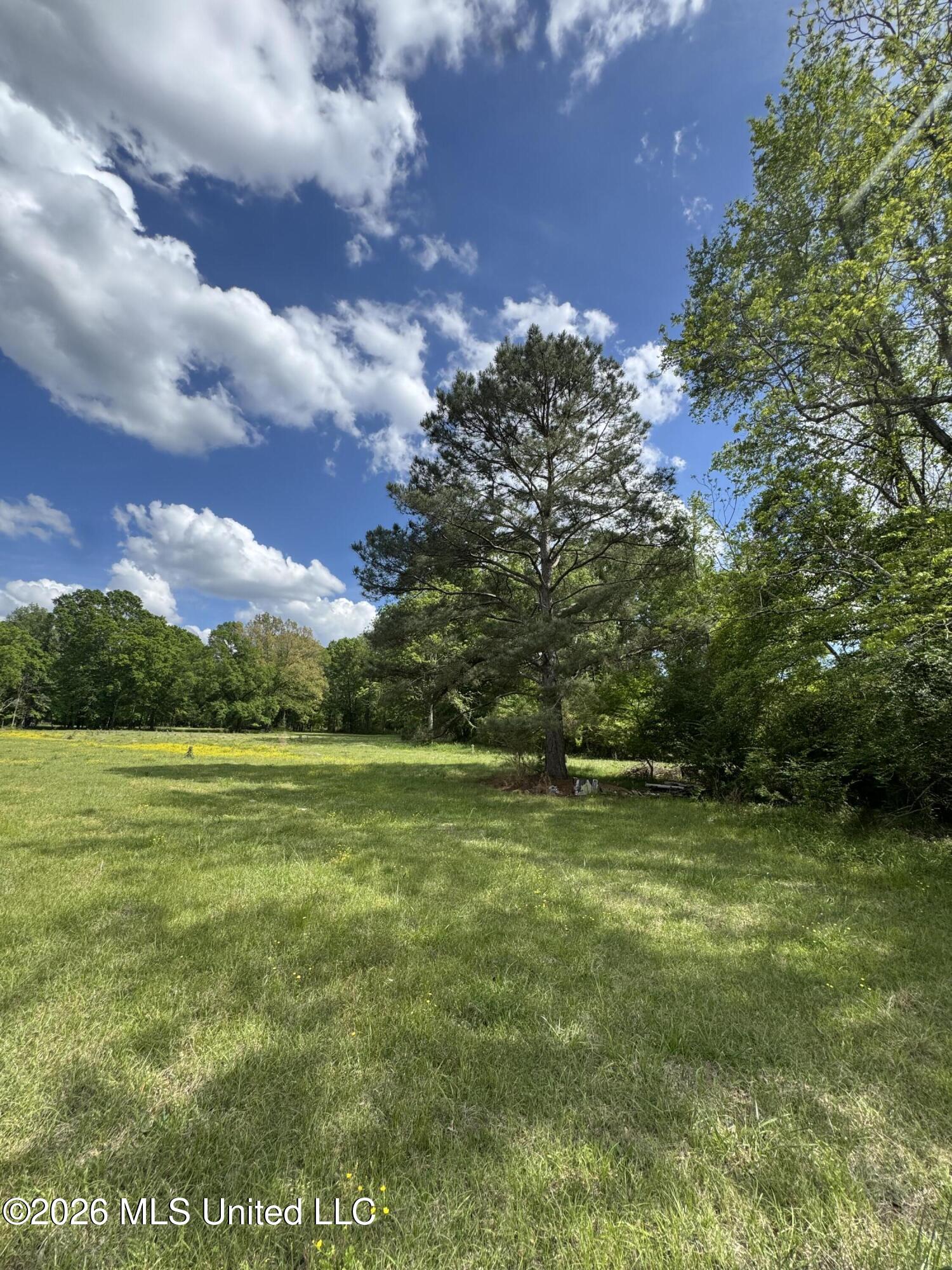 Ms-13 Property Photo 11