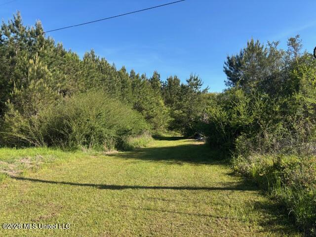 683 Old Holmesville Road Property Photo 33