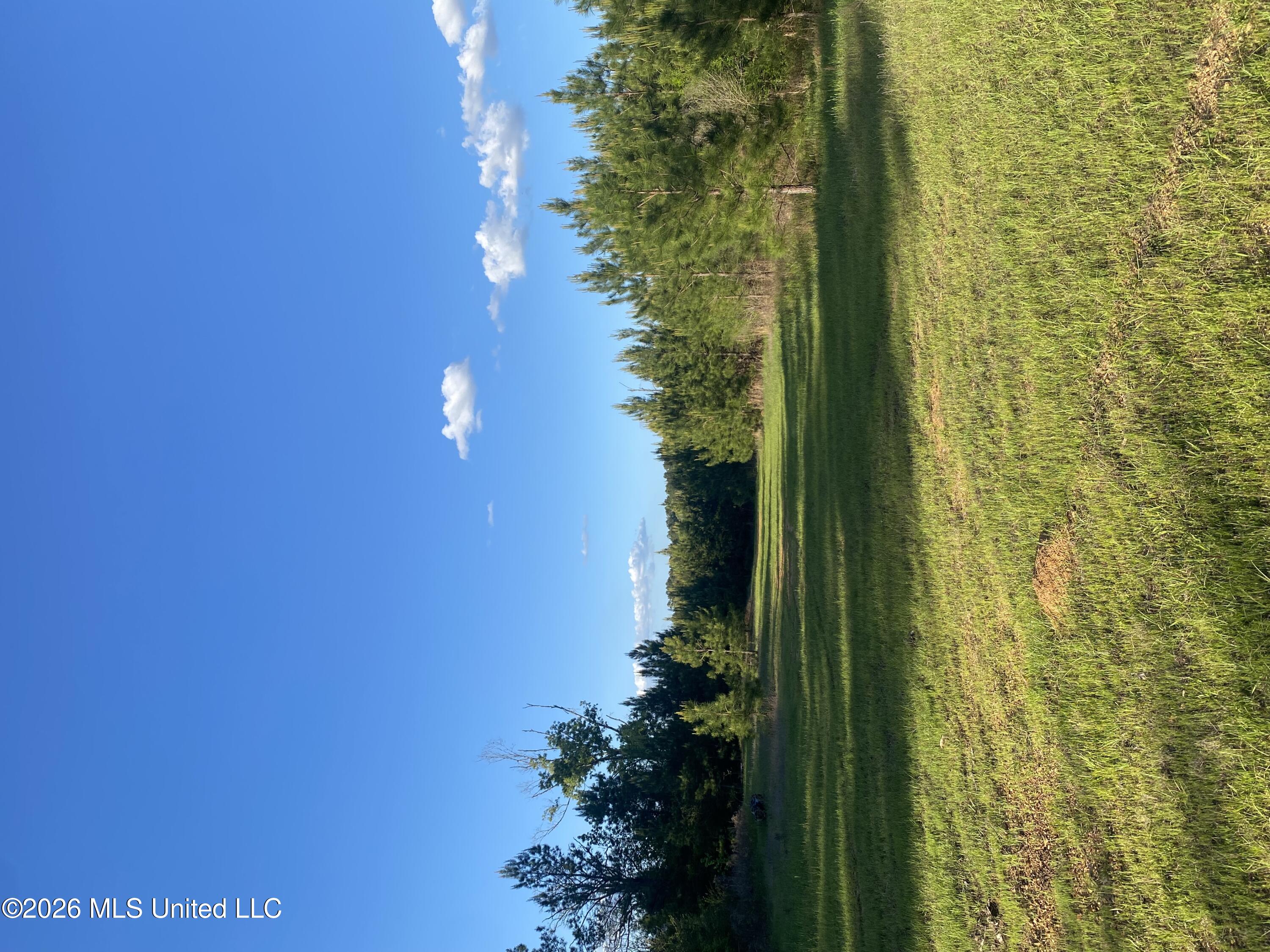 Tbd County Road 48 Property Photo 1
