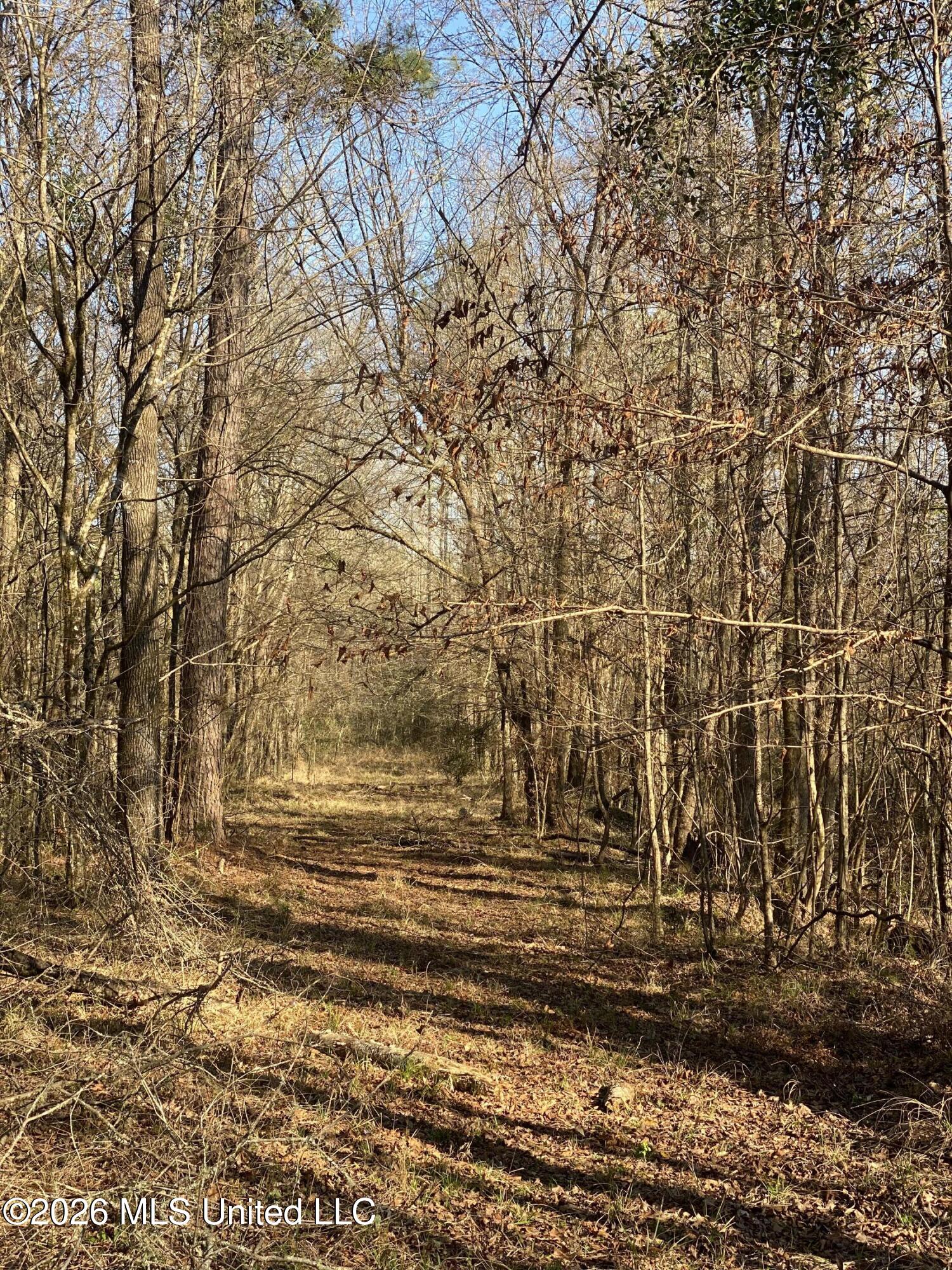 Tbd County Road 48 Property Photo 3