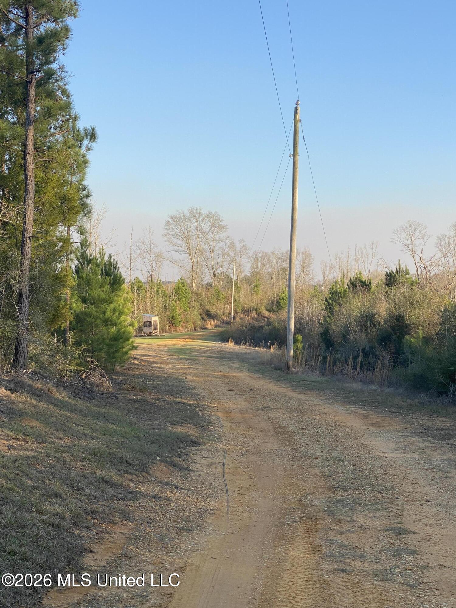 Tbd County Road 48 Property Photo 8
