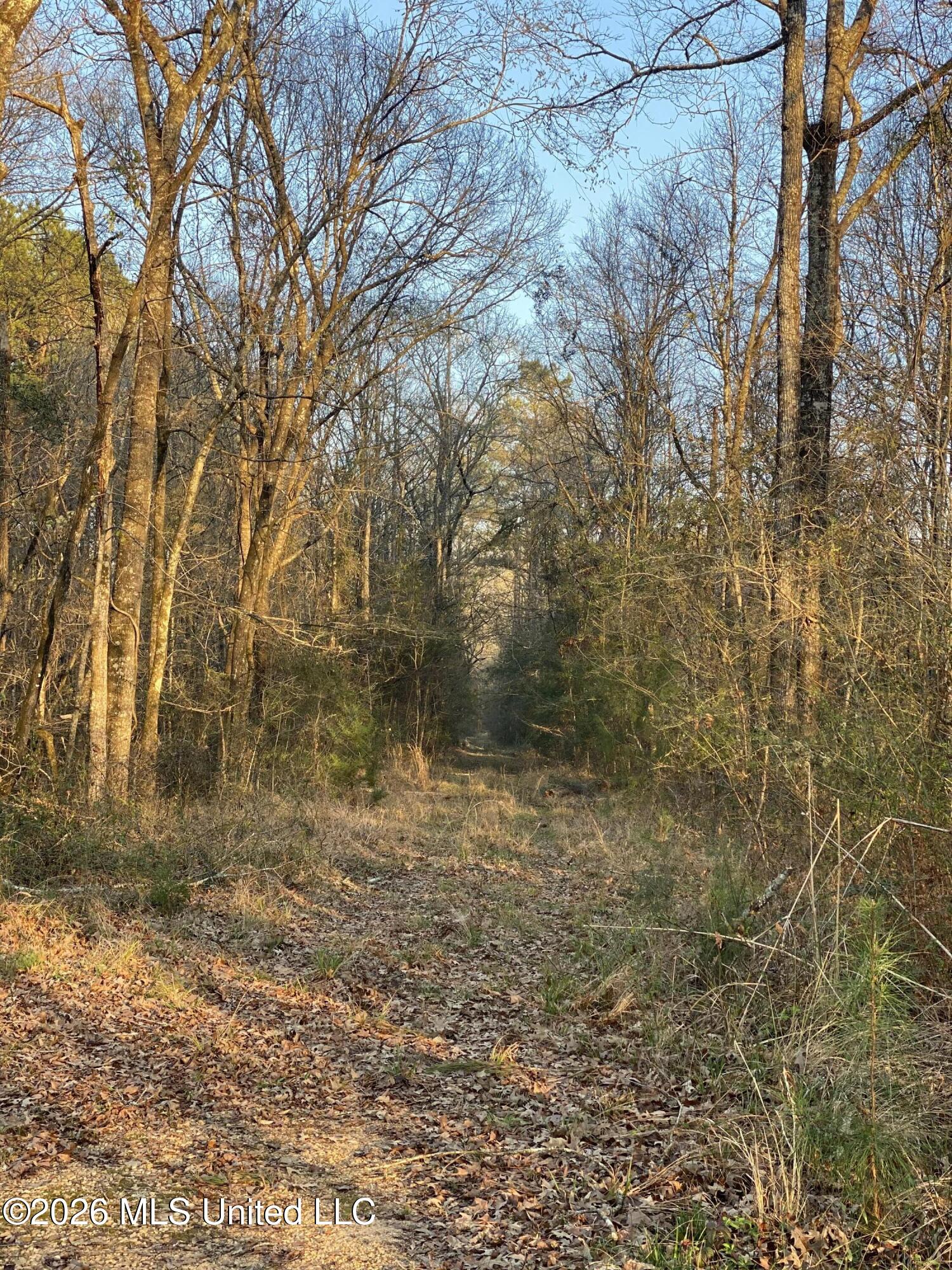 Tbd County Road 48 Property Photo 9
