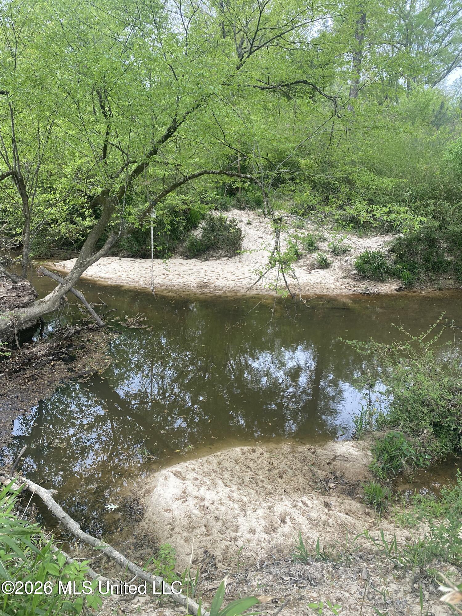 Tbd County Road 48 Property Photo 12