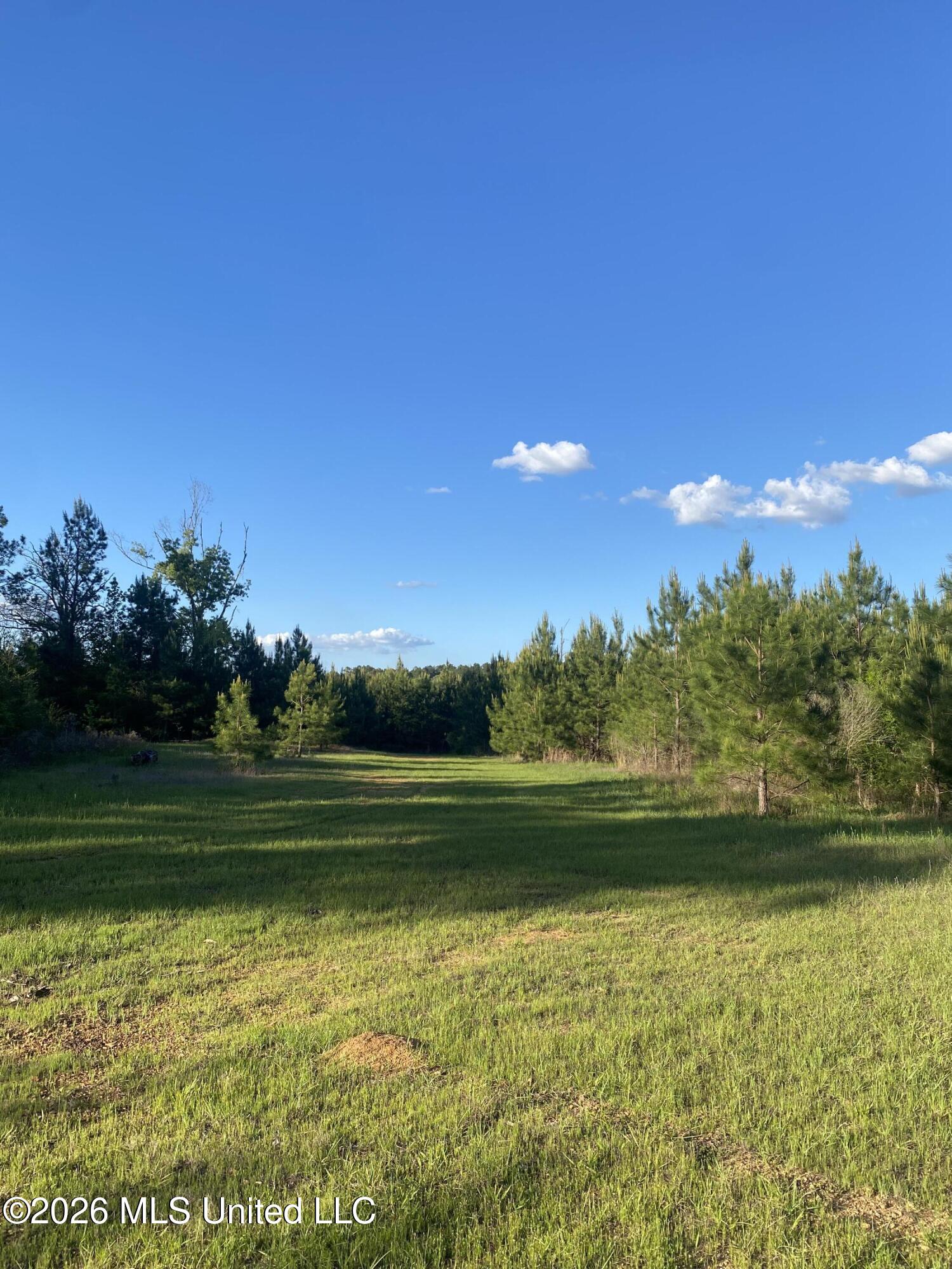 Tbd County Road 48 Property Photo 15
