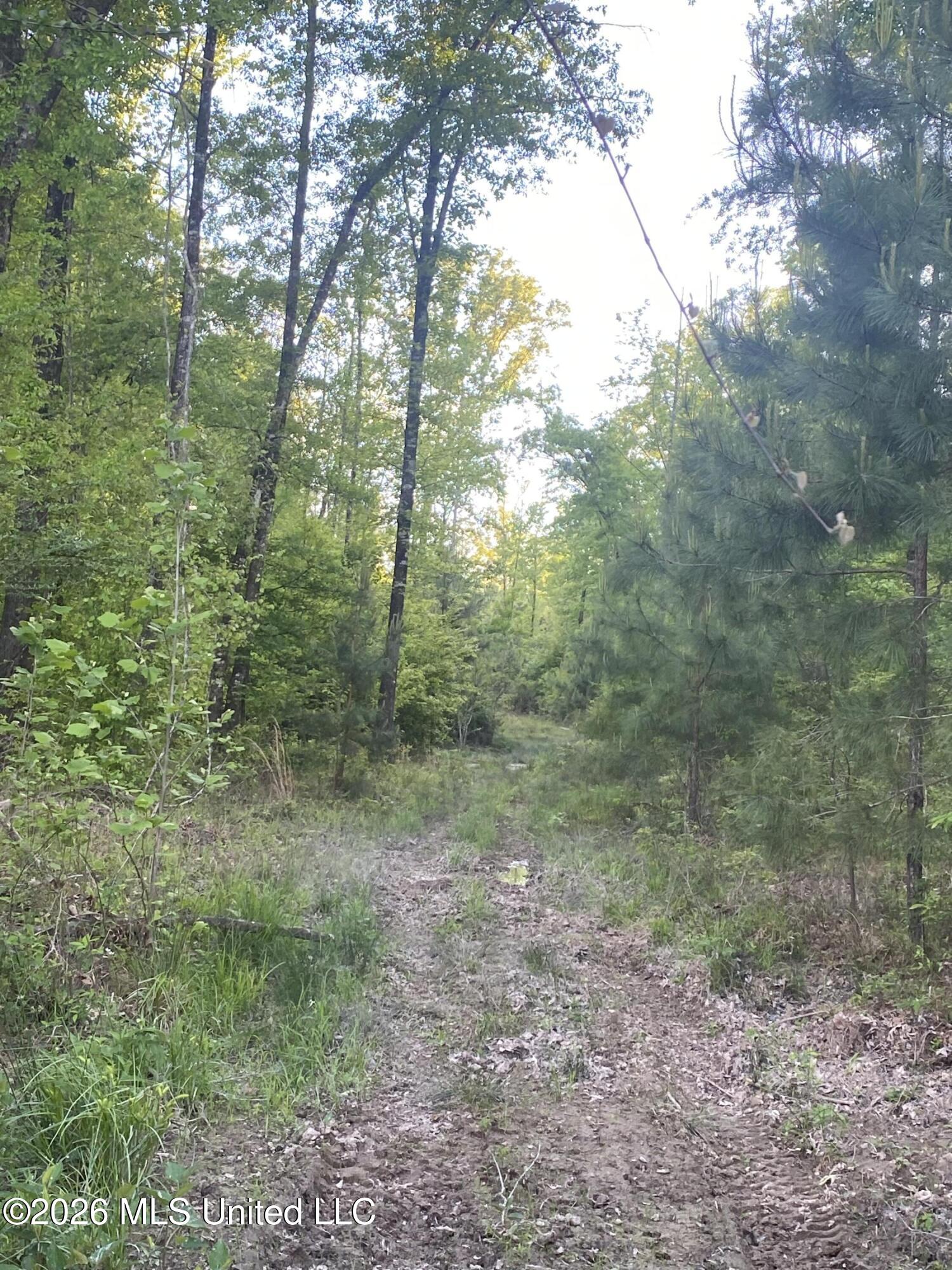 Tbd County Road 48 Property Photo 18