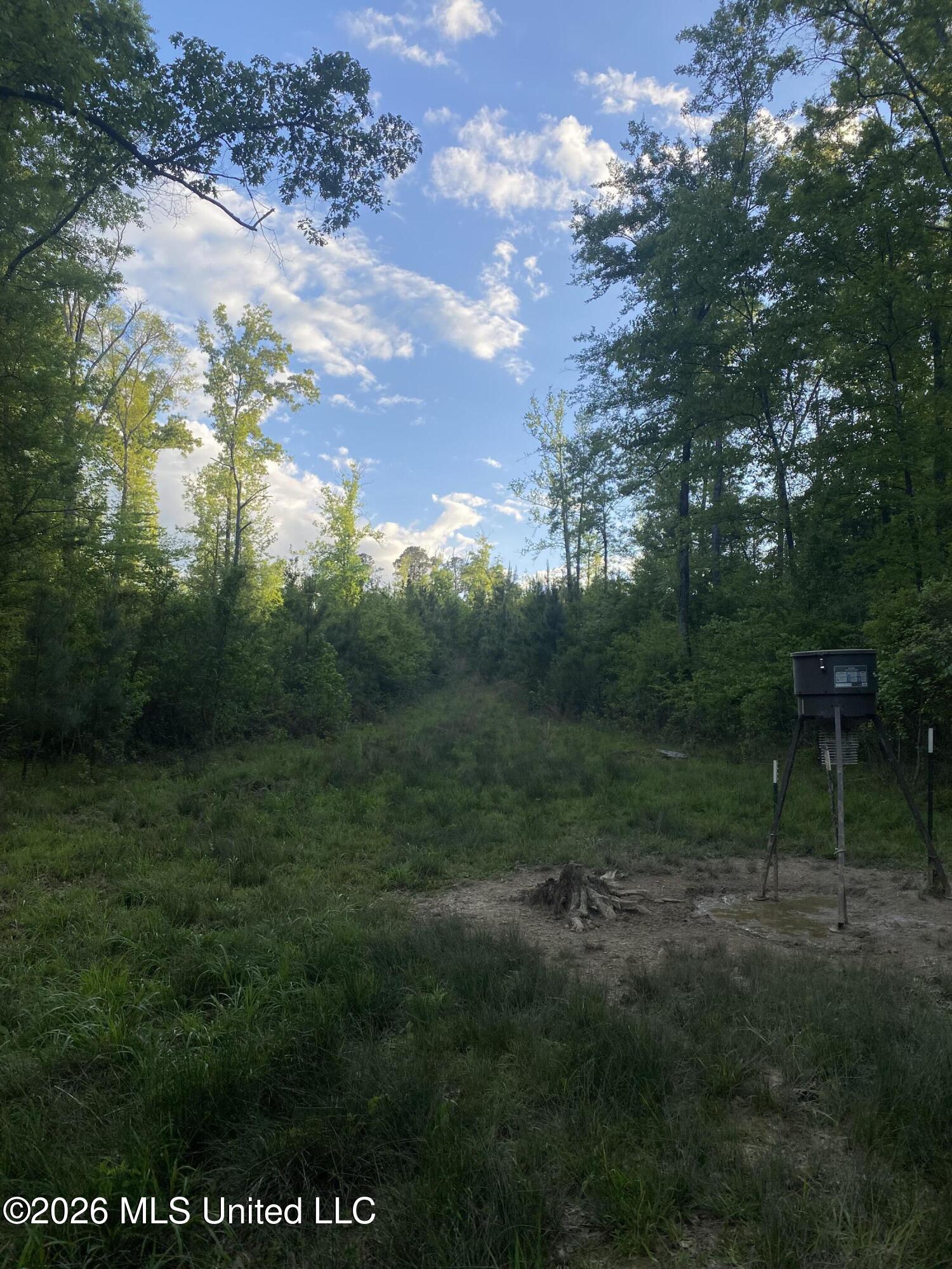 Tbd County Road 48 Property Photo 19