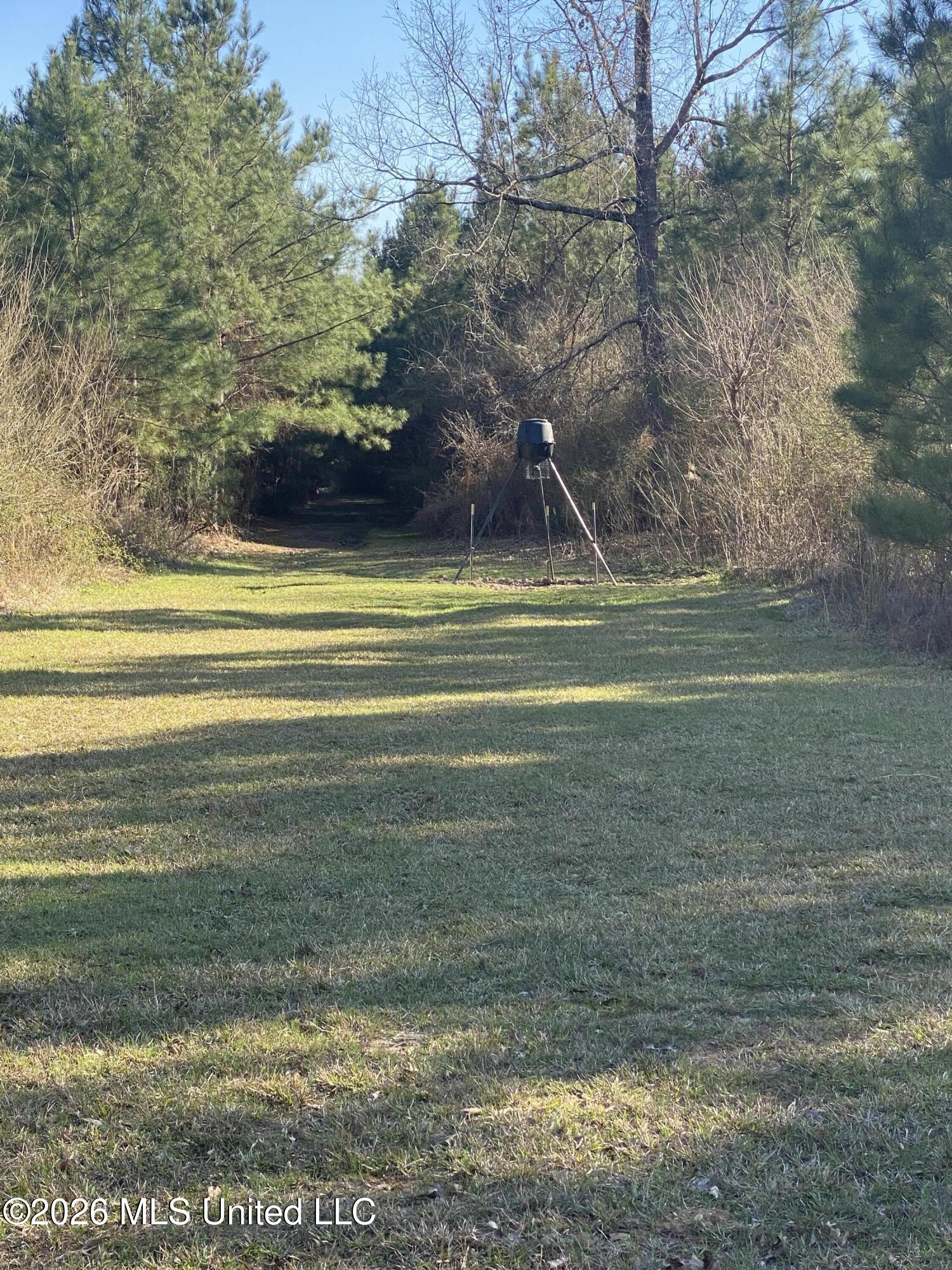 Tbd County Road 48 Property Photo 21