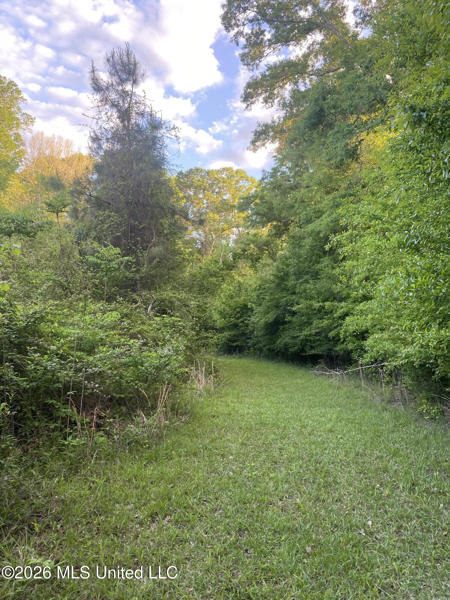 Tbd County Road 48 Property Photo 23