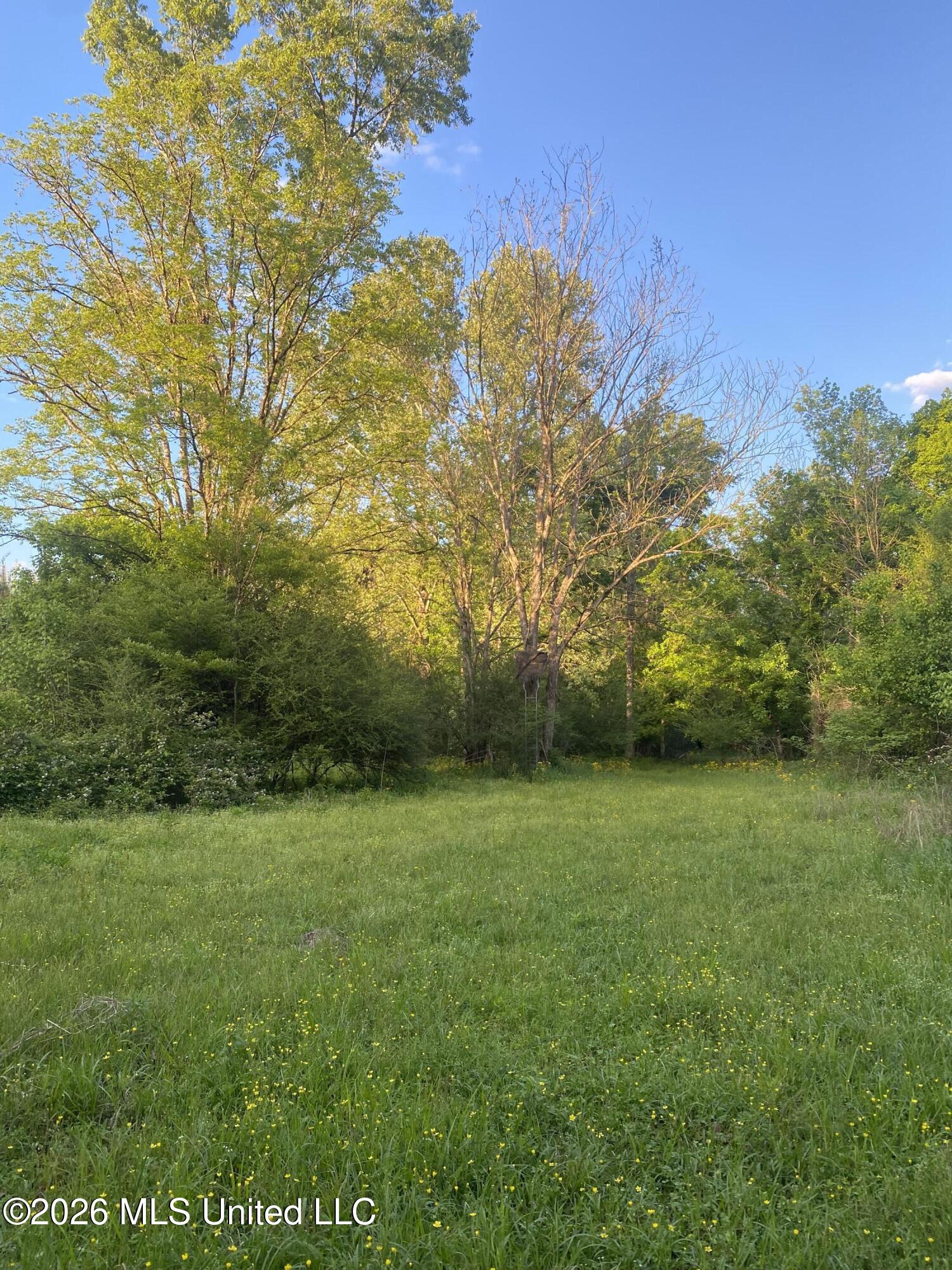 Tbd County Road 48 Property Photo 25