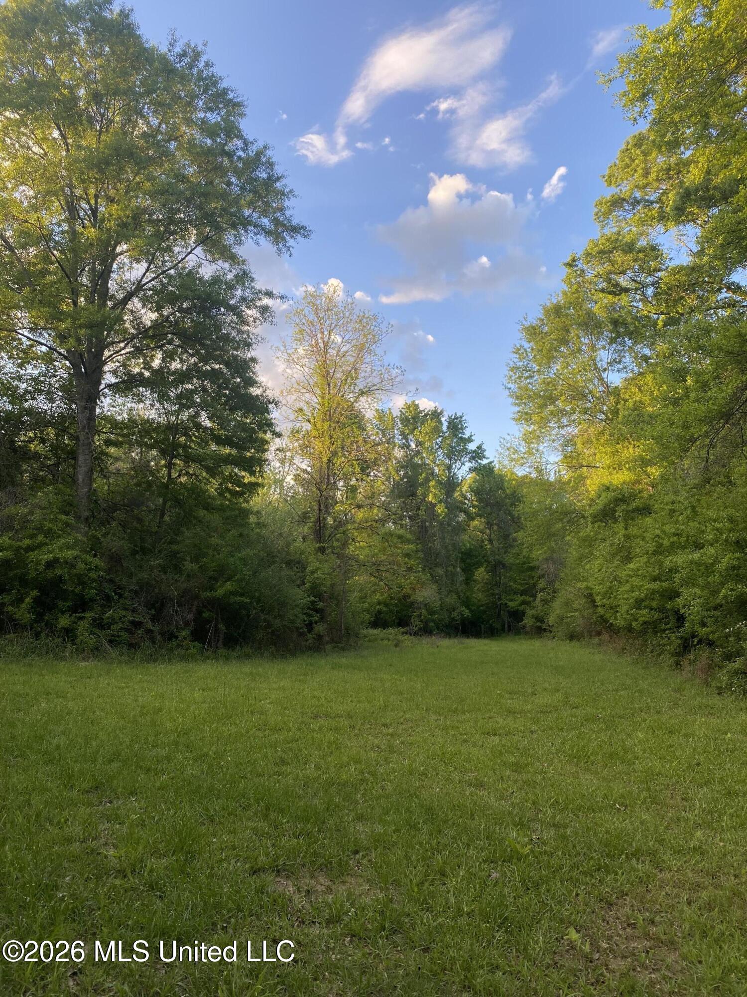 Tbd County Road 48 Property Photo 26