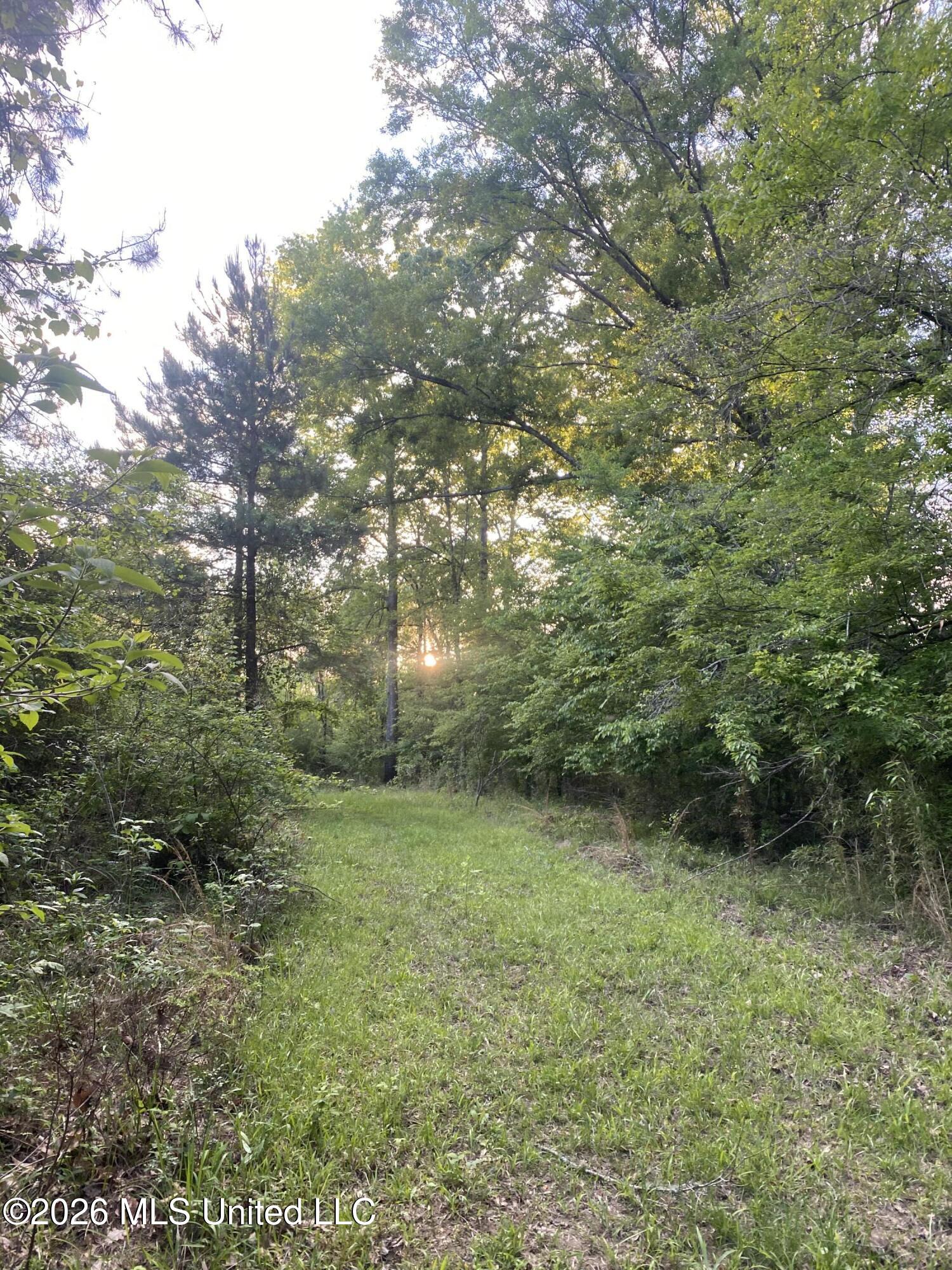 Tbd County Road 48 Property Photo 28