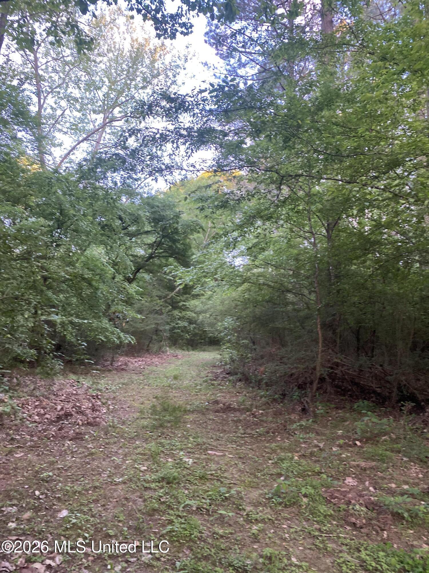 Tbd County Road 48 Property Photo 34