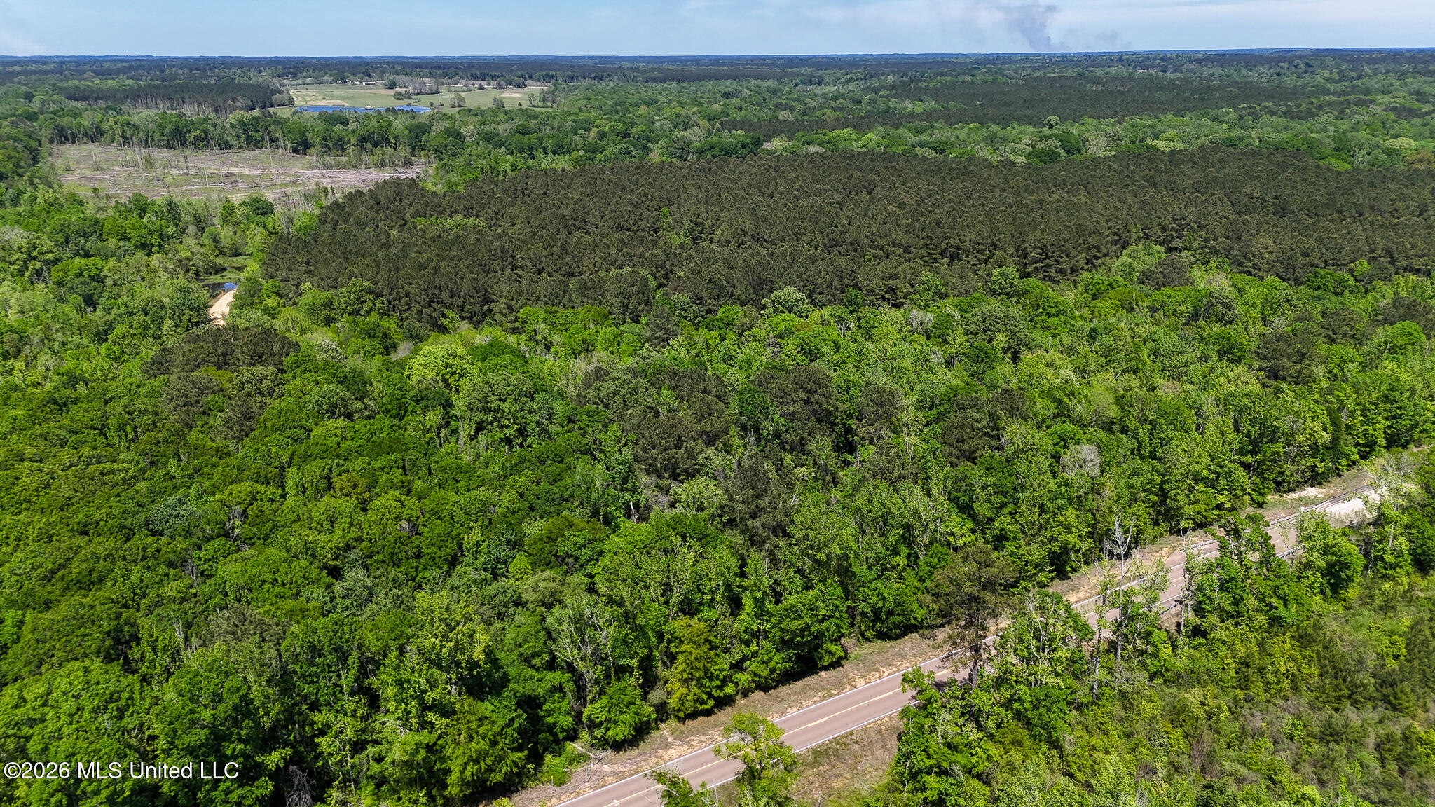 Tbd County Road 48 Property Photo 37