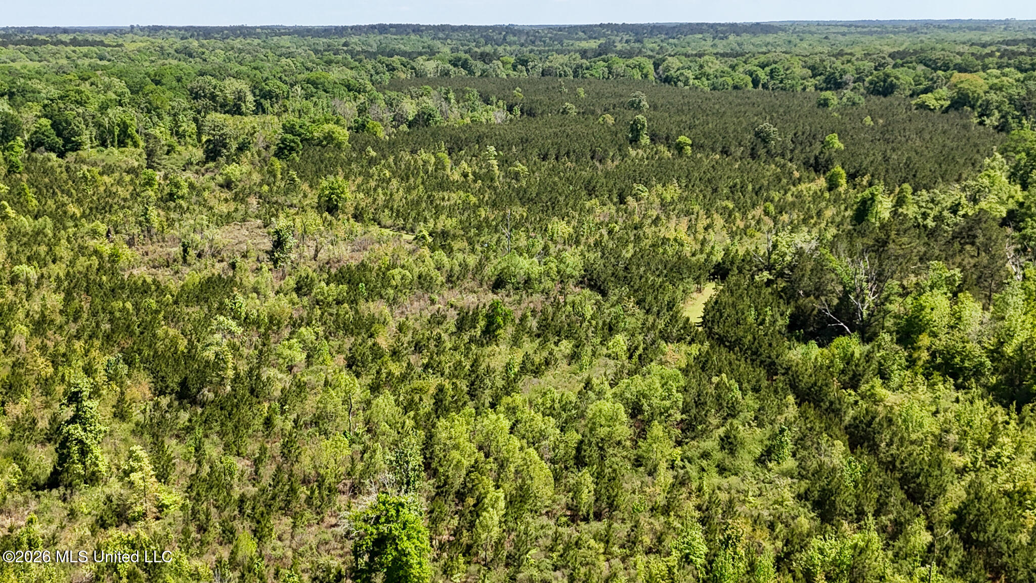 Tbd County Road 48 Property Photo 39