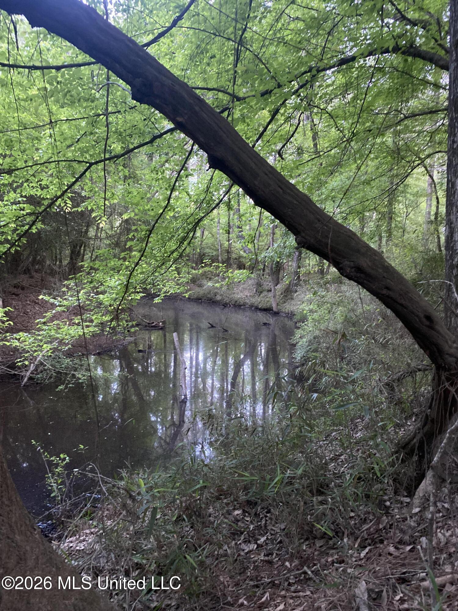 Tbd County Road 48 Property Photo 50
