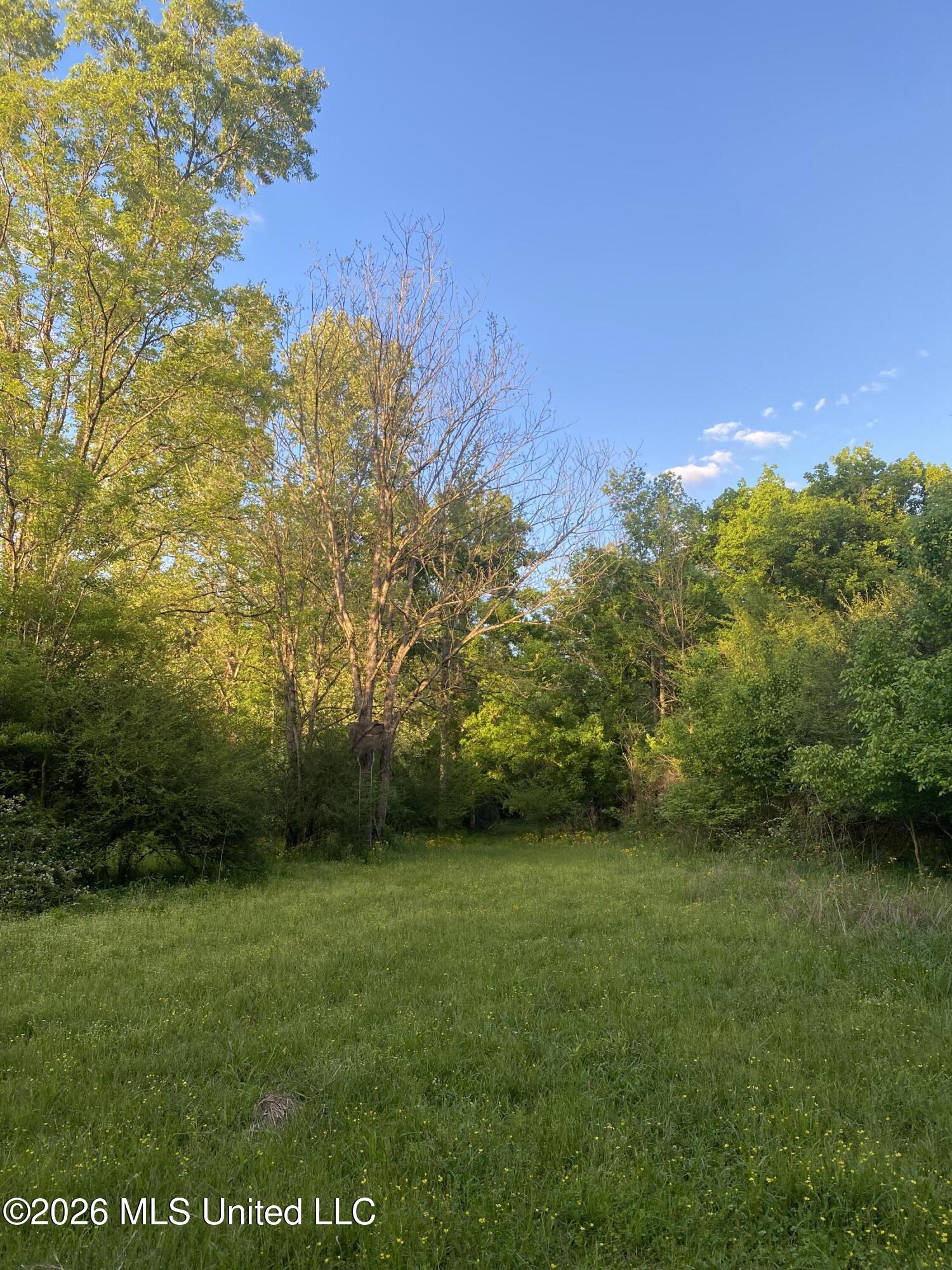 Tbd County Road 48 Property Photo 54