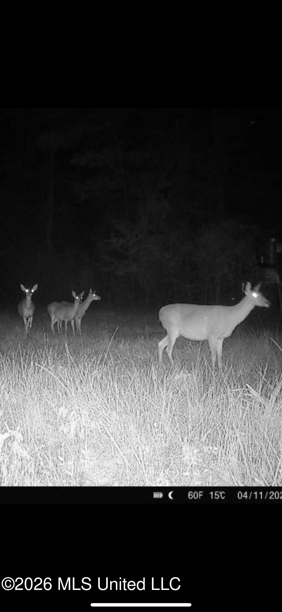 Tbd County Road 48 Property Photo 63