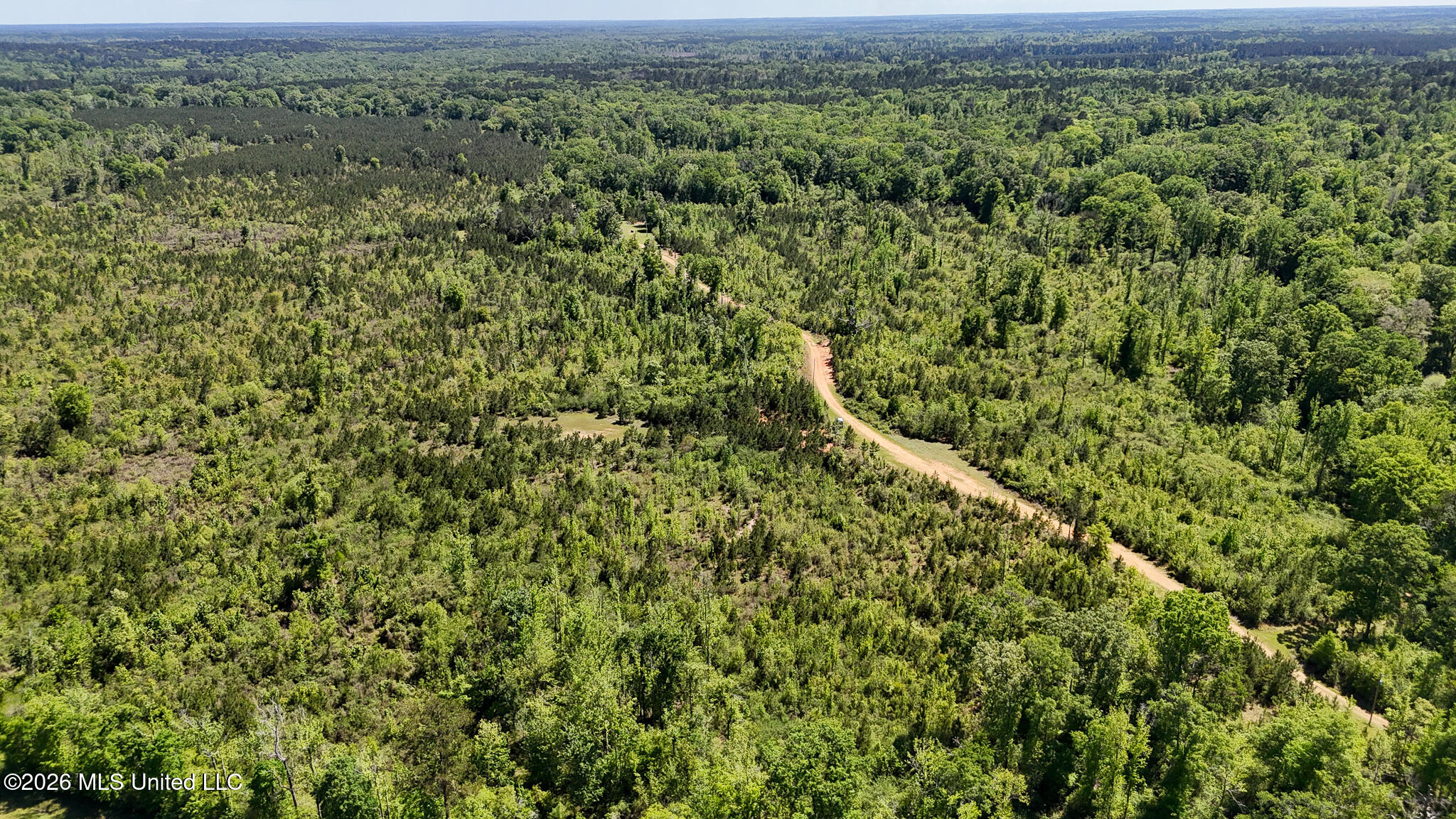 Tbd County Road 48 Property Photo 65