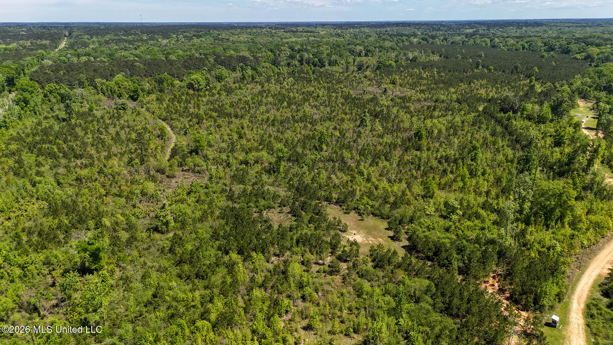 Tbd County Road 48 Property Photo 68